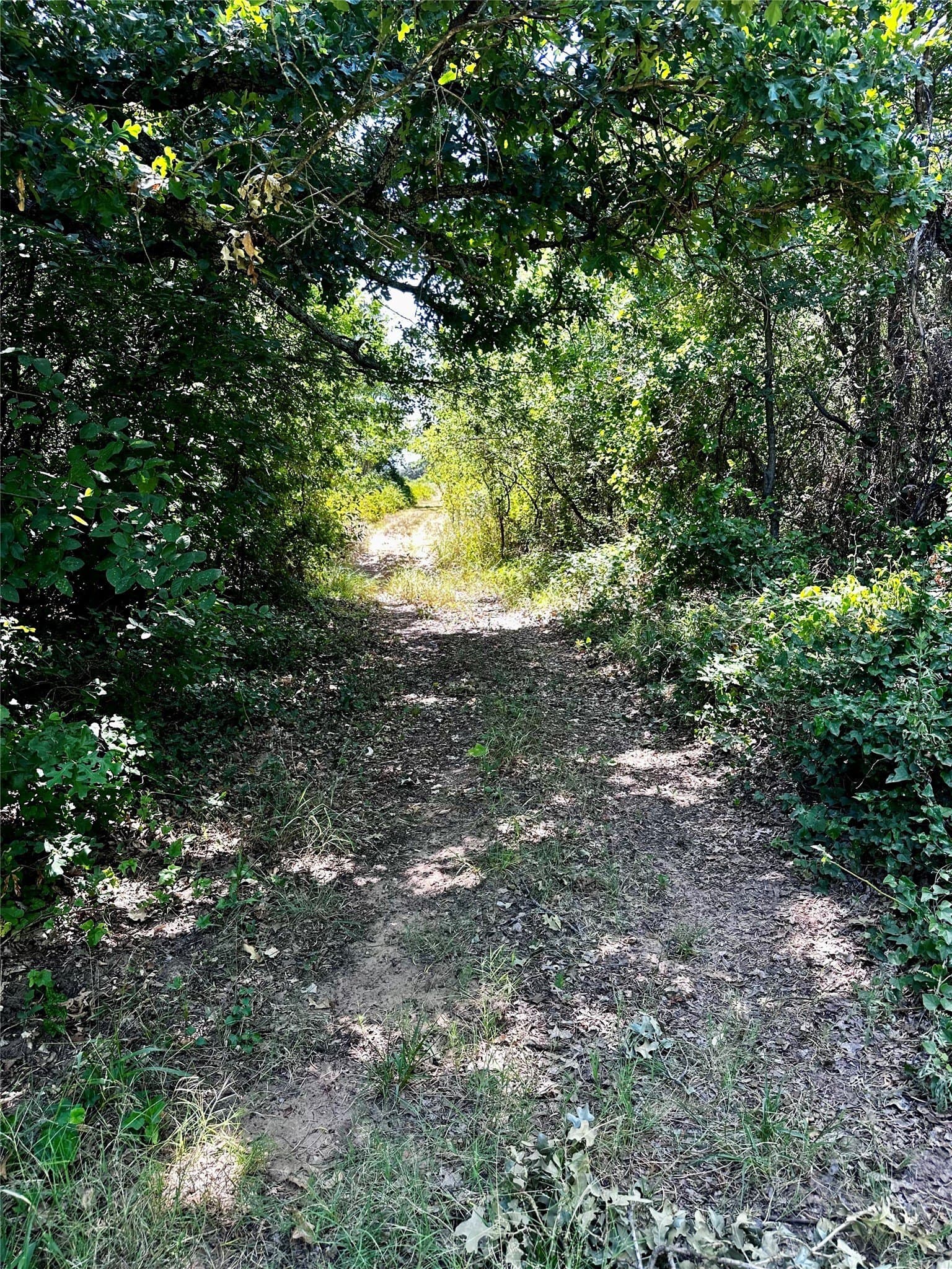 15.99 acres in Brown County - photo 30
