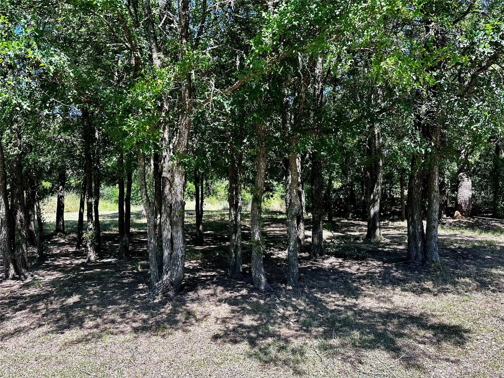 15.99 acres in Brown County - photo 26