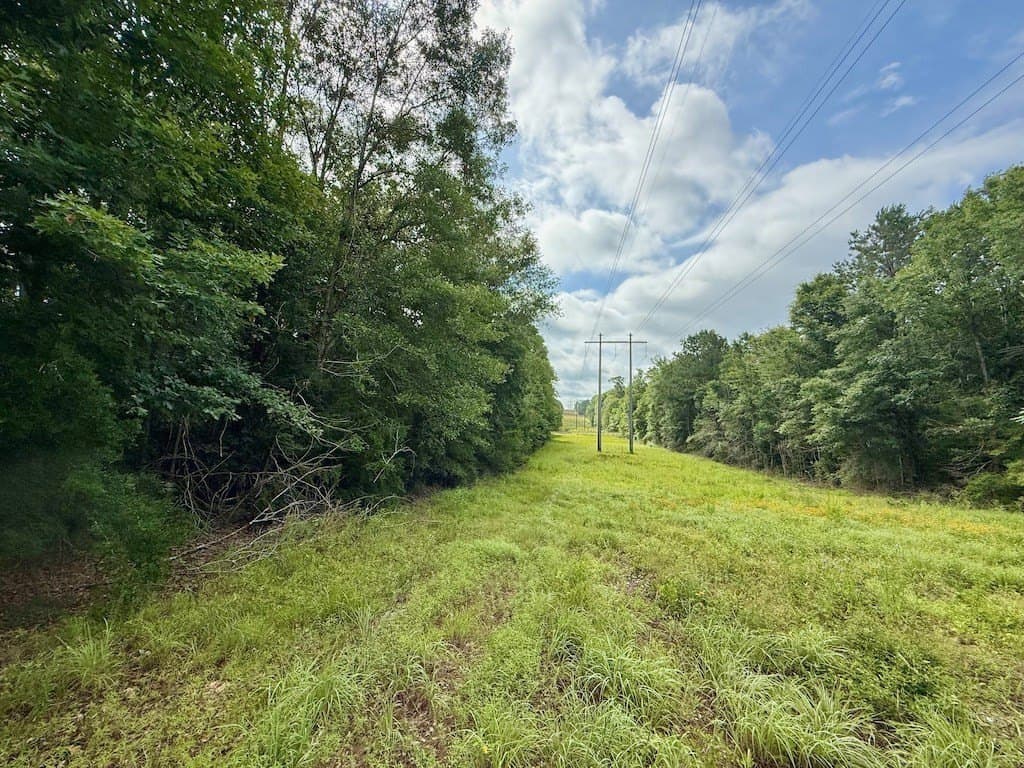 9.74 acres in Texas County gallery image 3