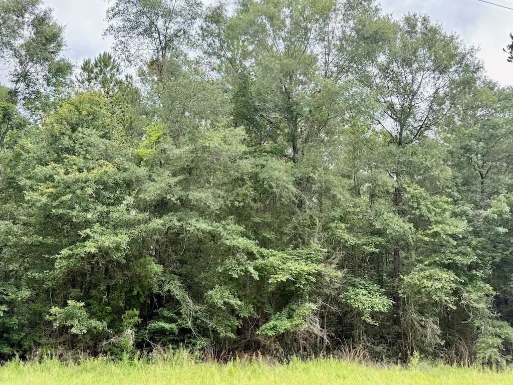 9.74 acres in Texas County featured view