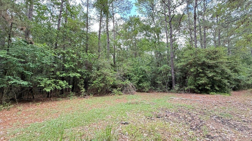 0.84 acres in Texas County featured view