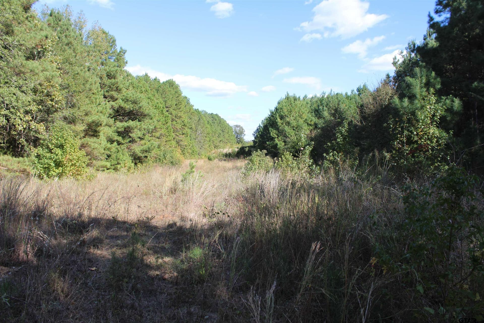 37.4 acres in Cherokee County