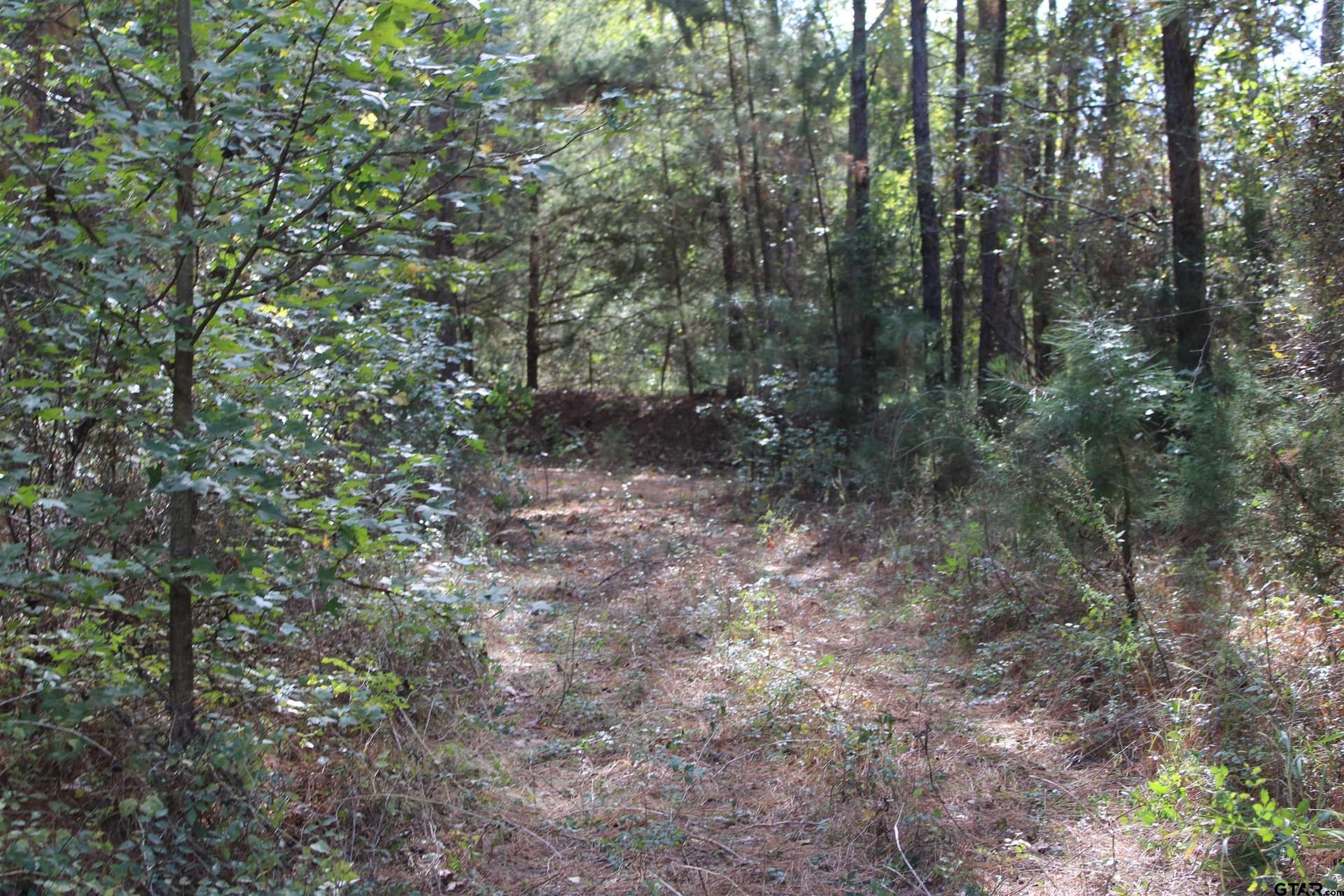 37.4 acres in Cherokee County gallery image 3