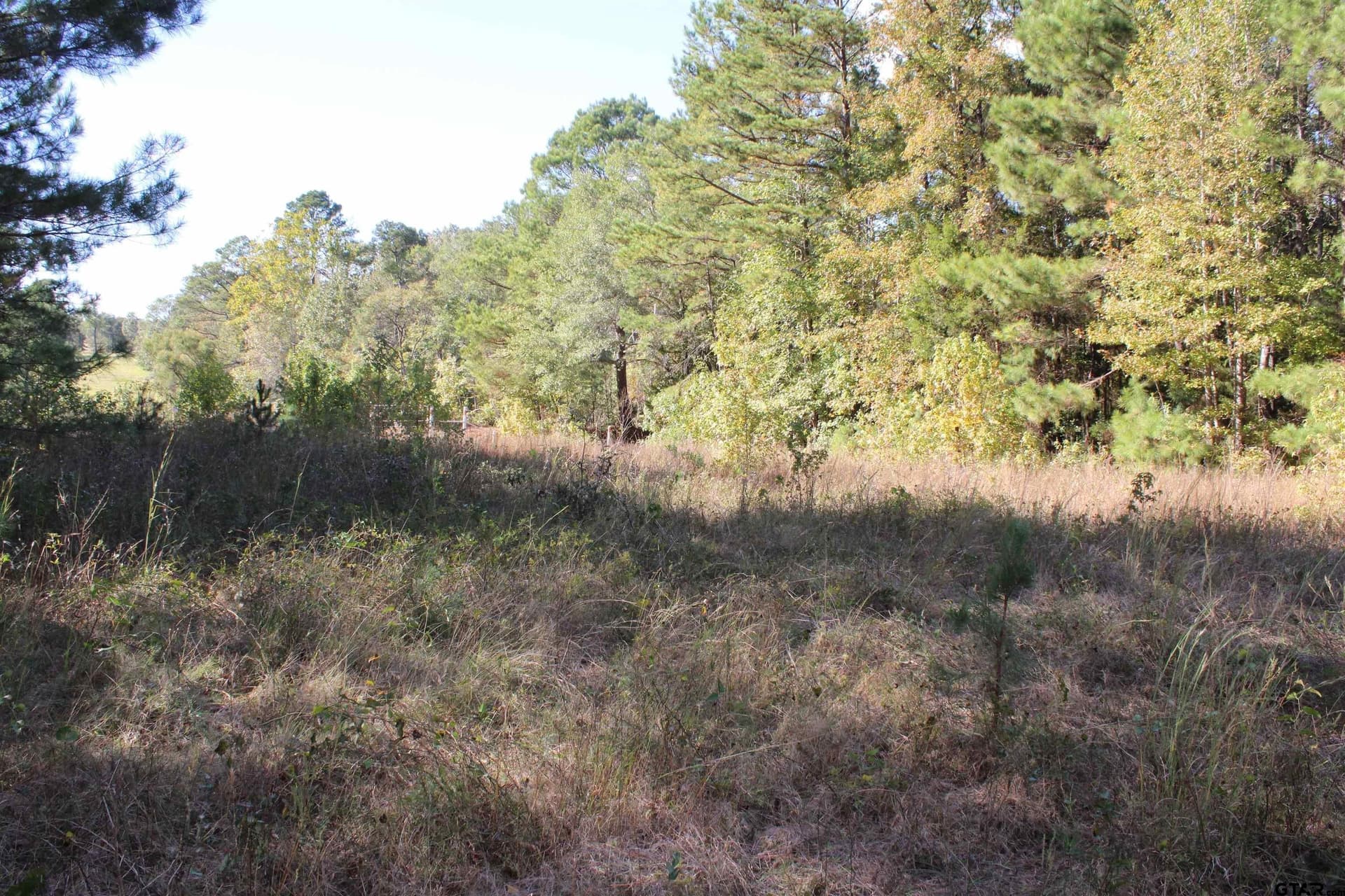 37.4 acres in Cherokee County gallery image 2