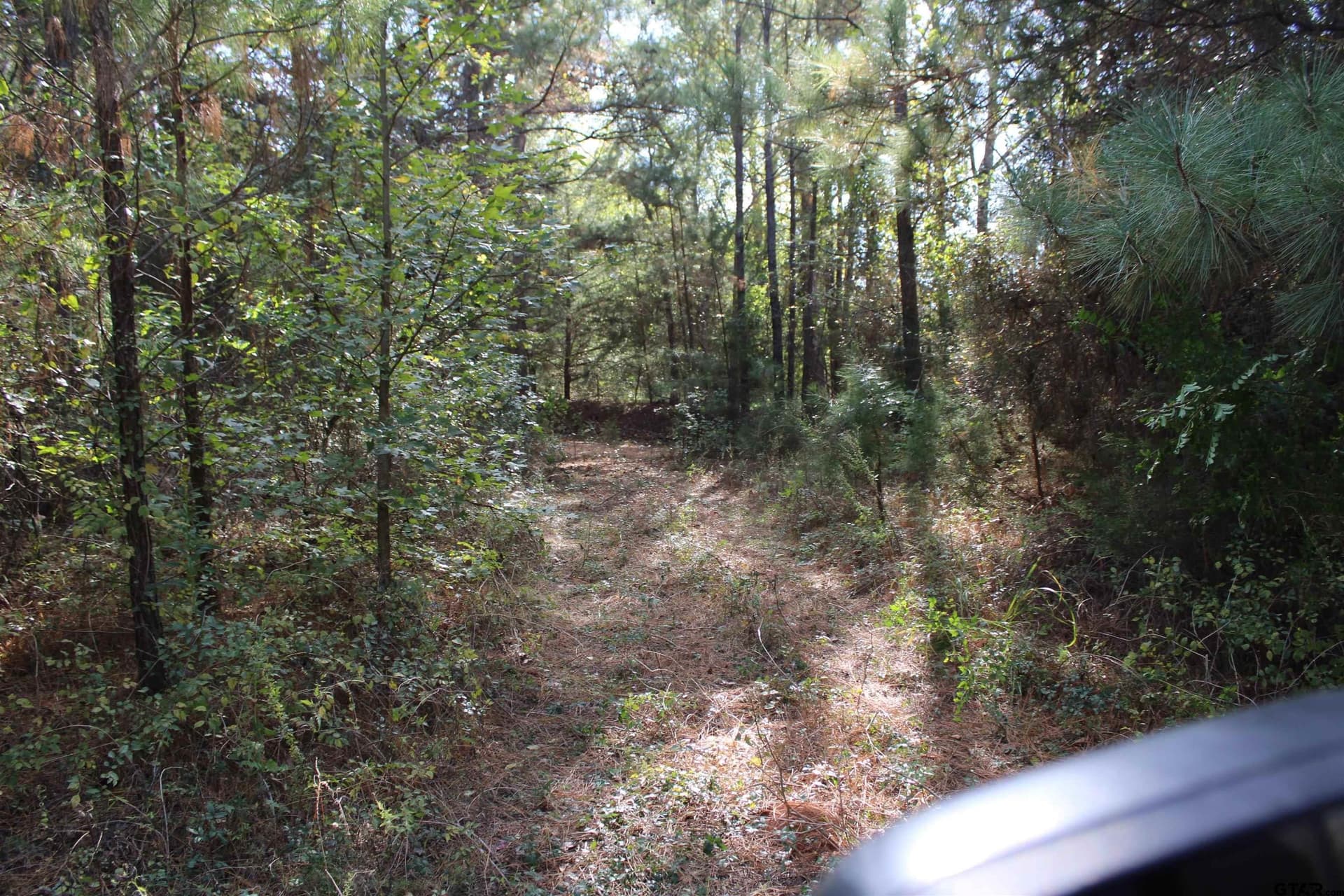 37.4 acres in Cherokee County featured view