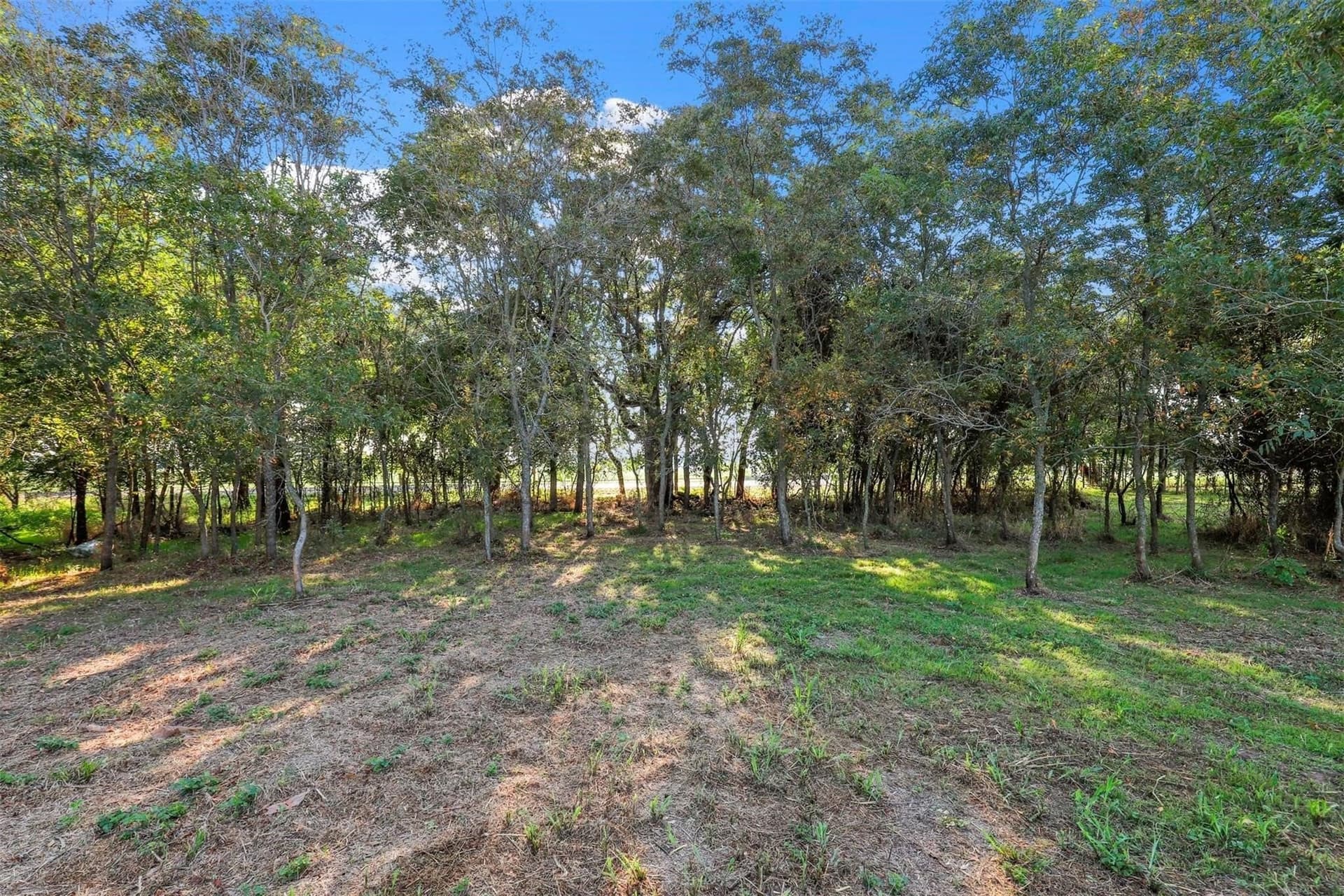 2.4 acres in Parker County - photo 12