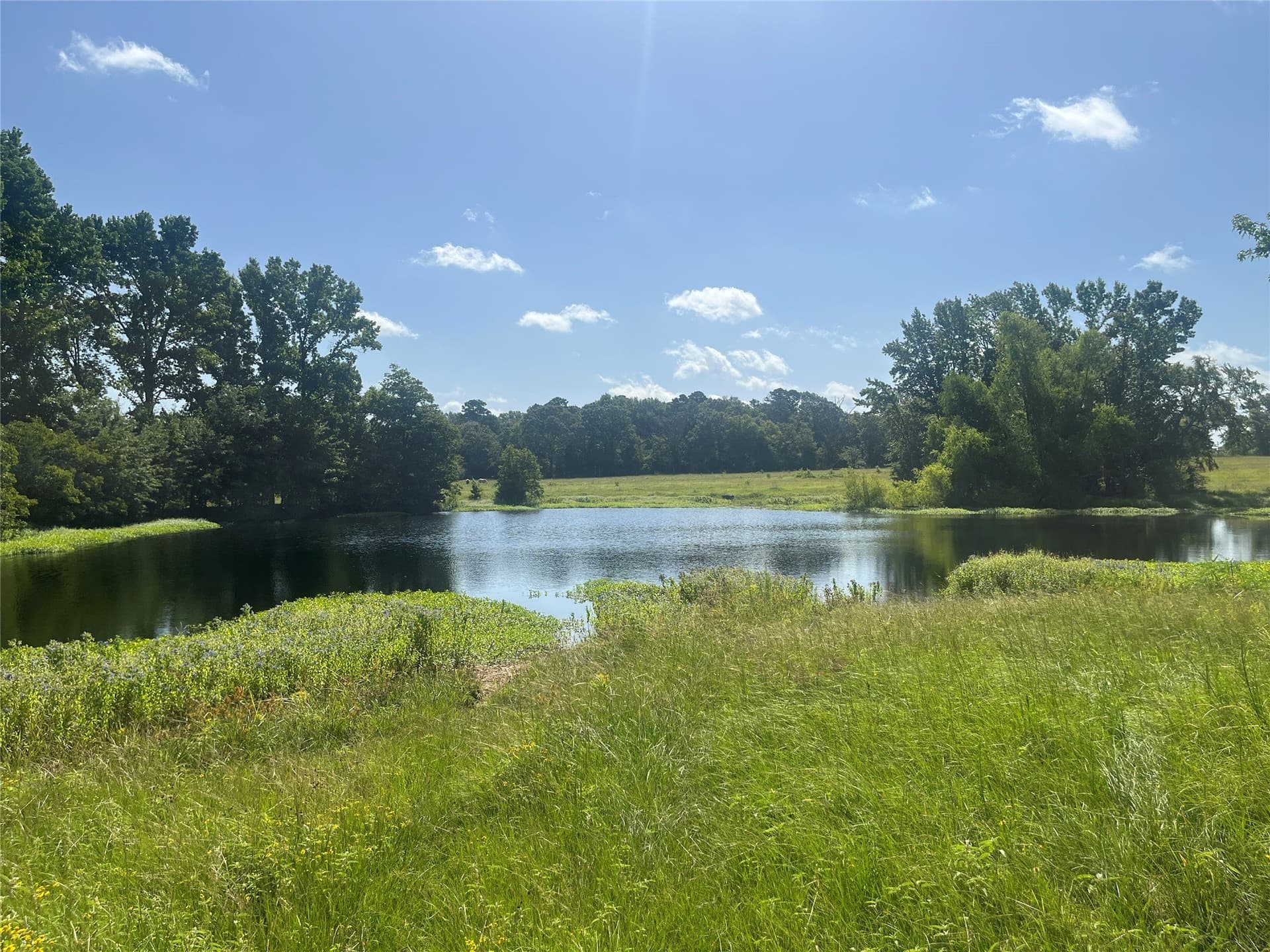91.3 acres in Van Zandt County - photo 36