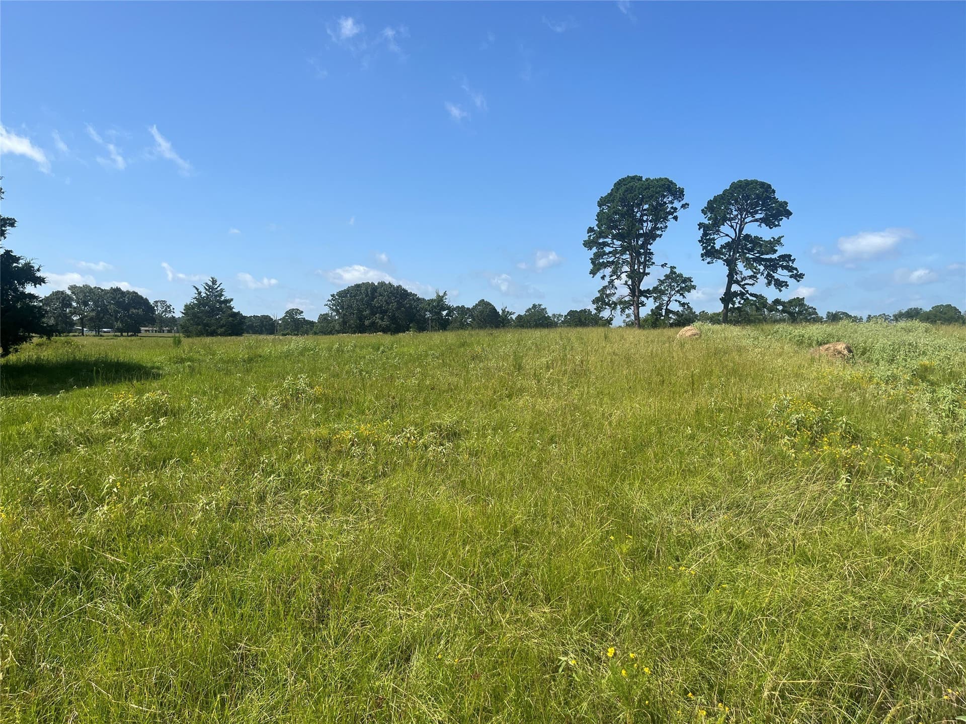 91.3 acres in Van Zandt County - photo 32