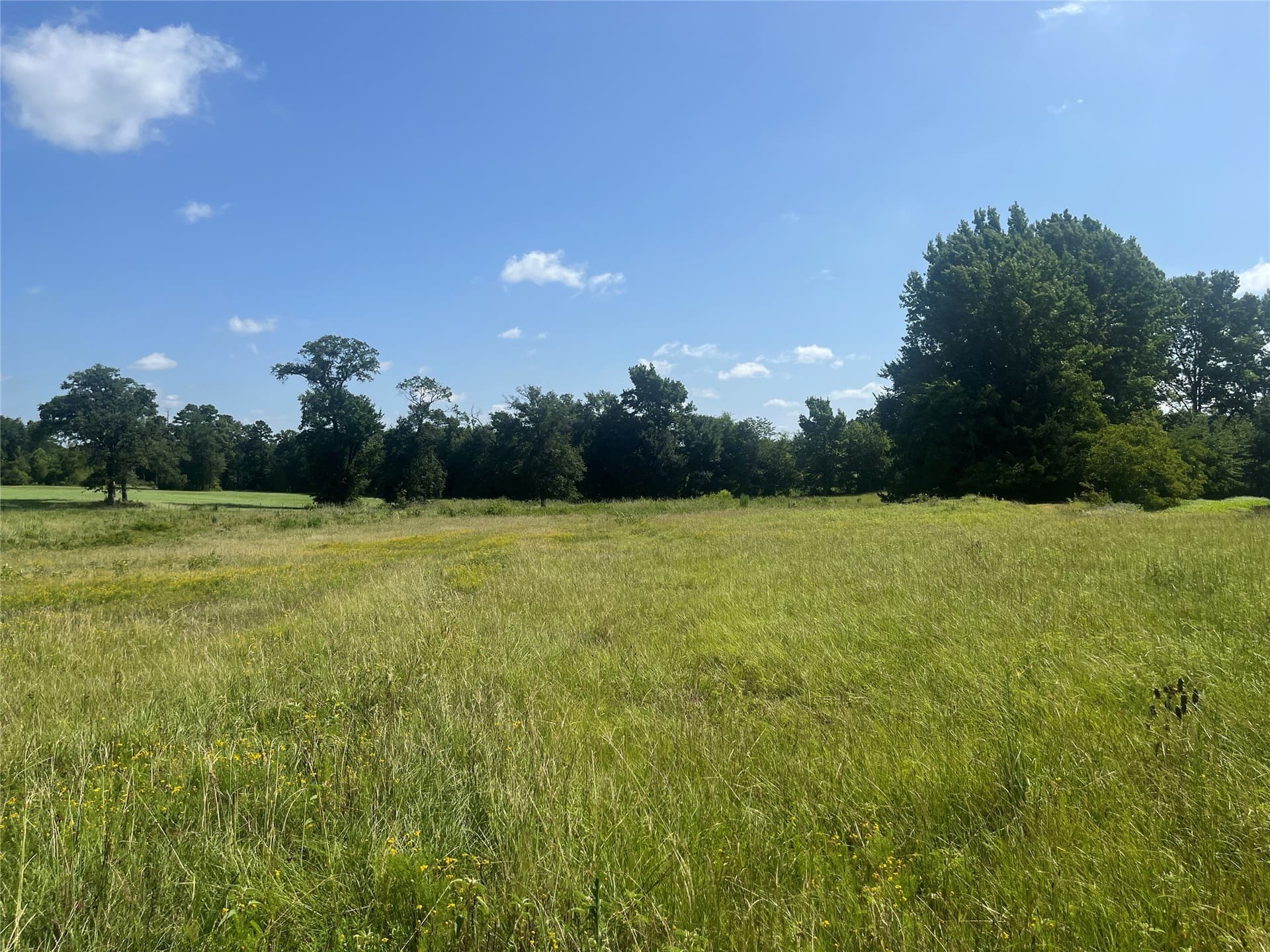 91.3 acres in Van Zandt County - photo 33