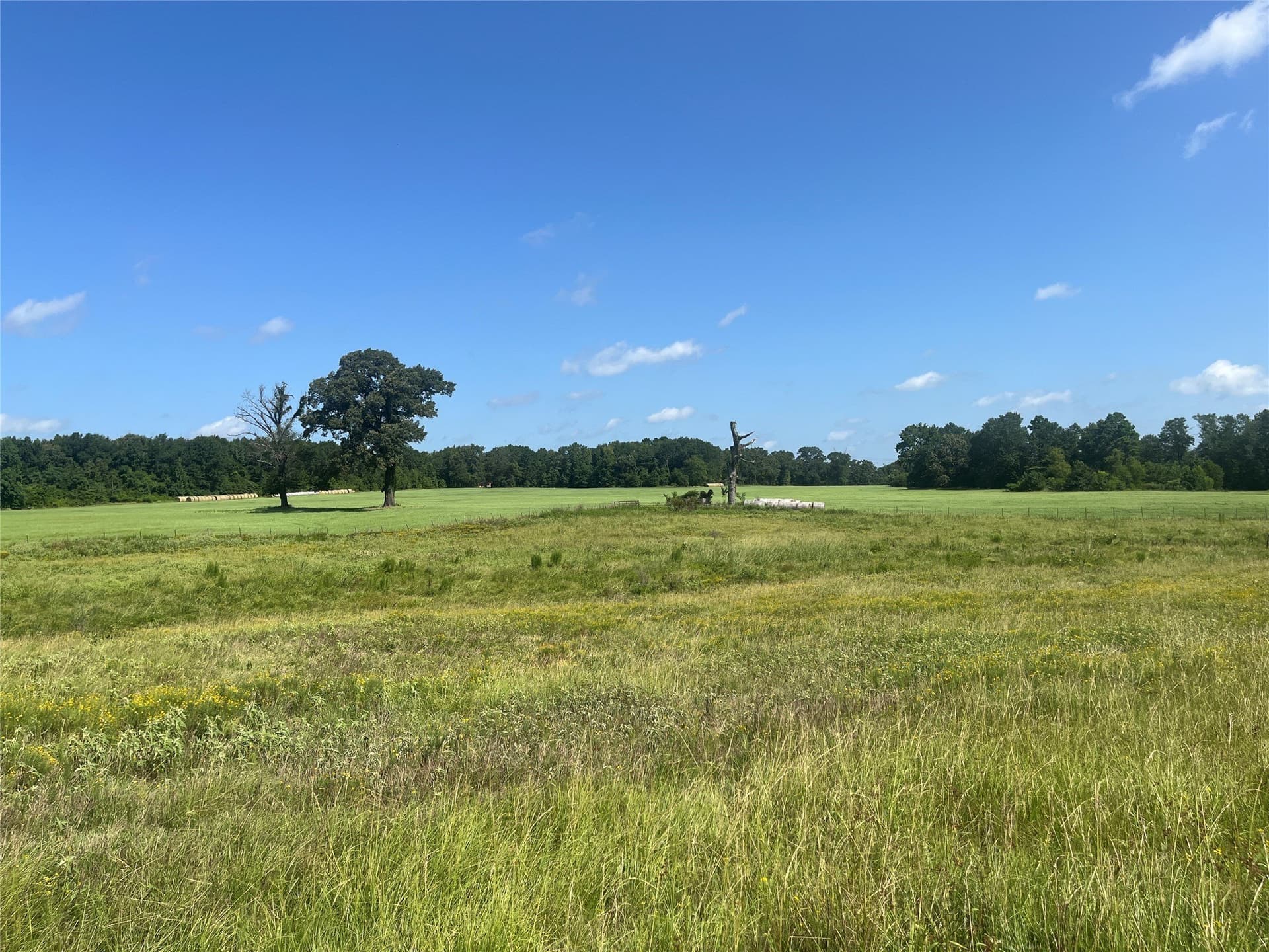 91.3 acres in Van Zandt County - photo 34