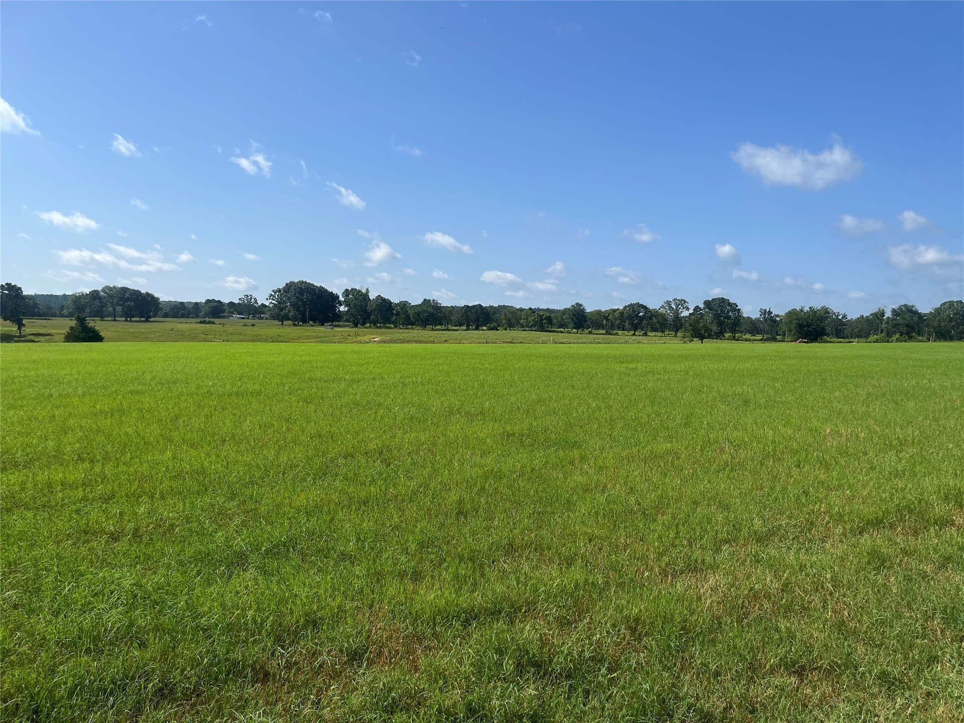 91.3 acres in Van Zandt County - photo 29