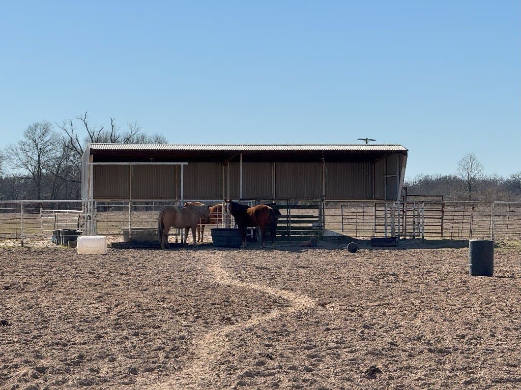 91.3 acres in Van Zandt County - photo 12