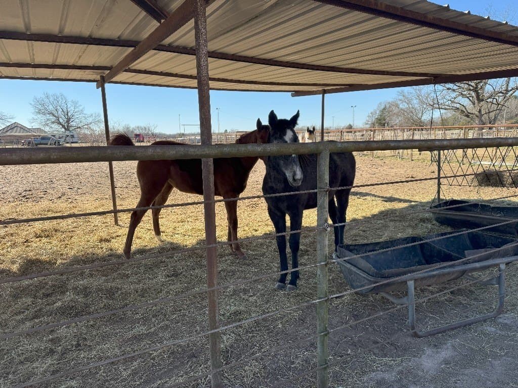 91.3 acres in Van Zandt County - photo 8