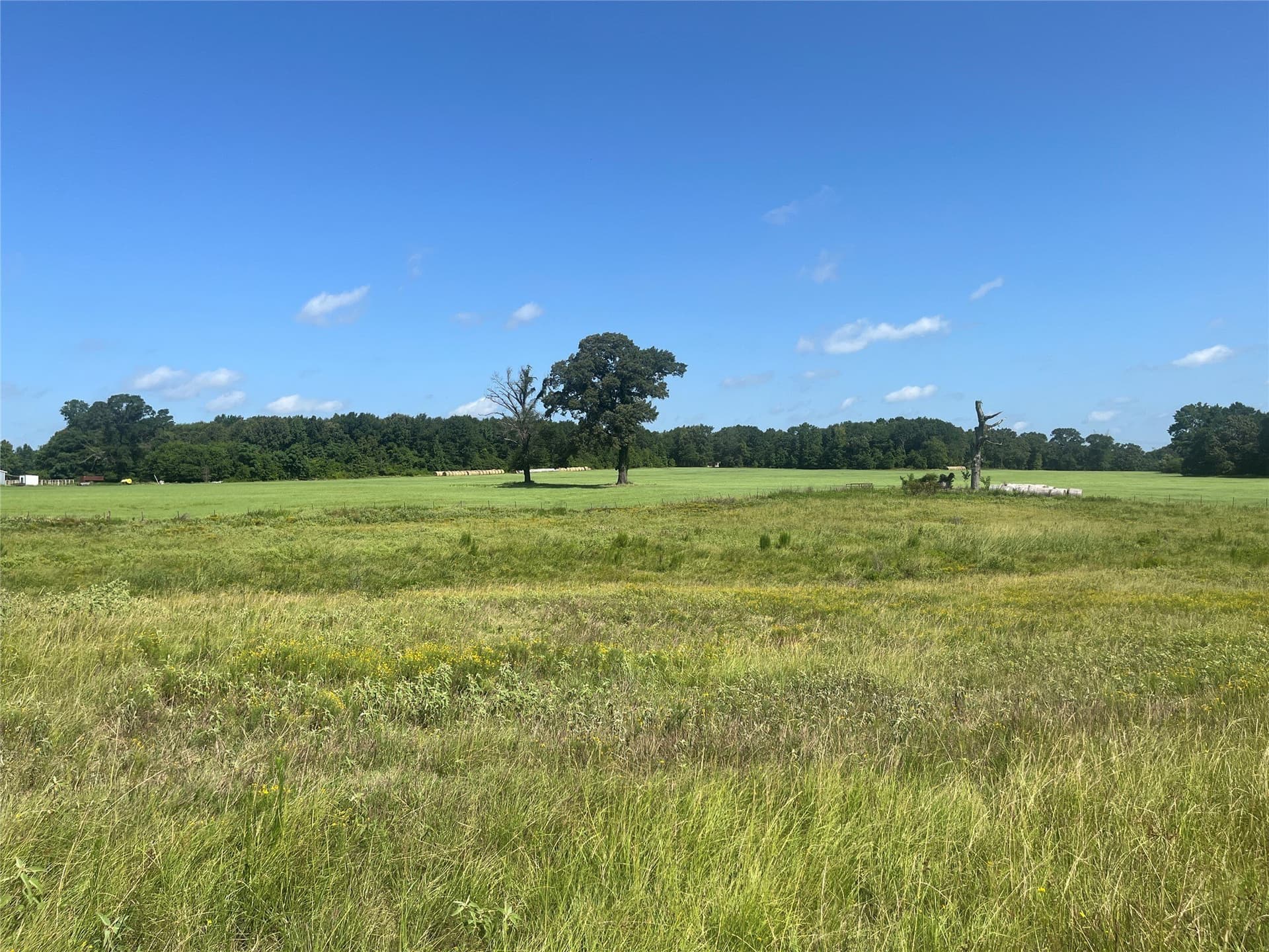 91.3 acres in Van Zandt County - photo 35
