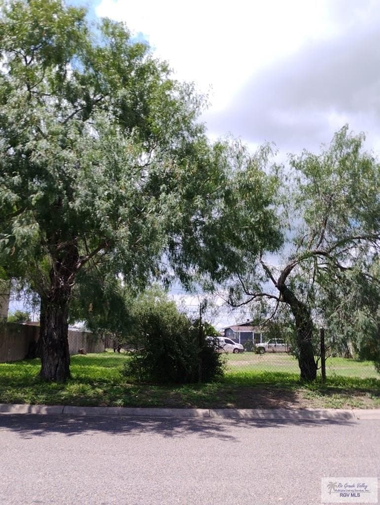 0.21 acres in CAMERON County gallery image 3