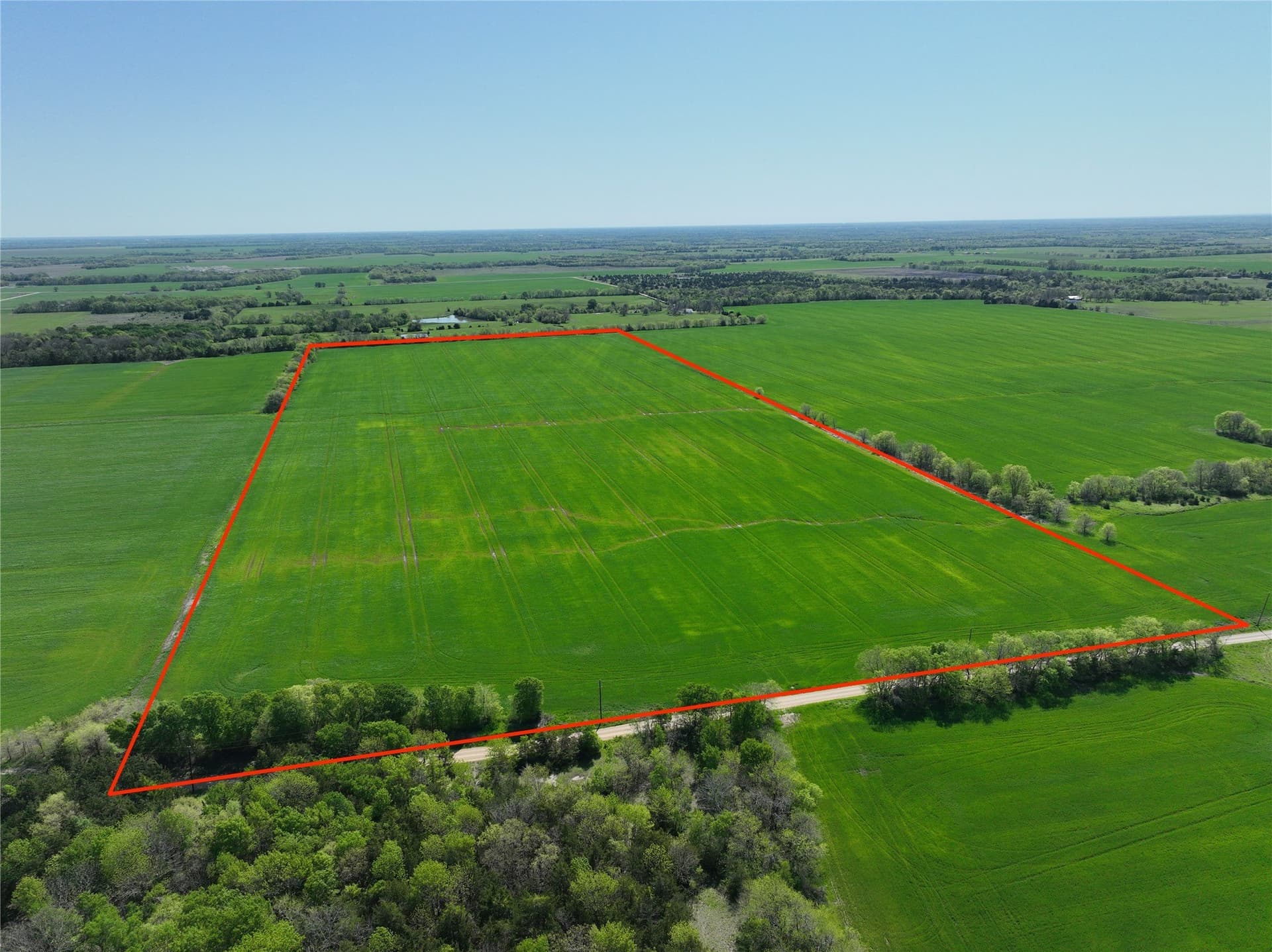 53.58 acres in Lamar County gallery image 2