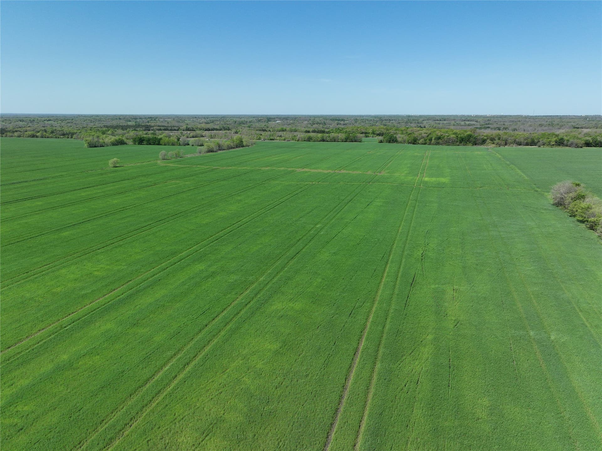 53.58 acres in Lamar County featured view