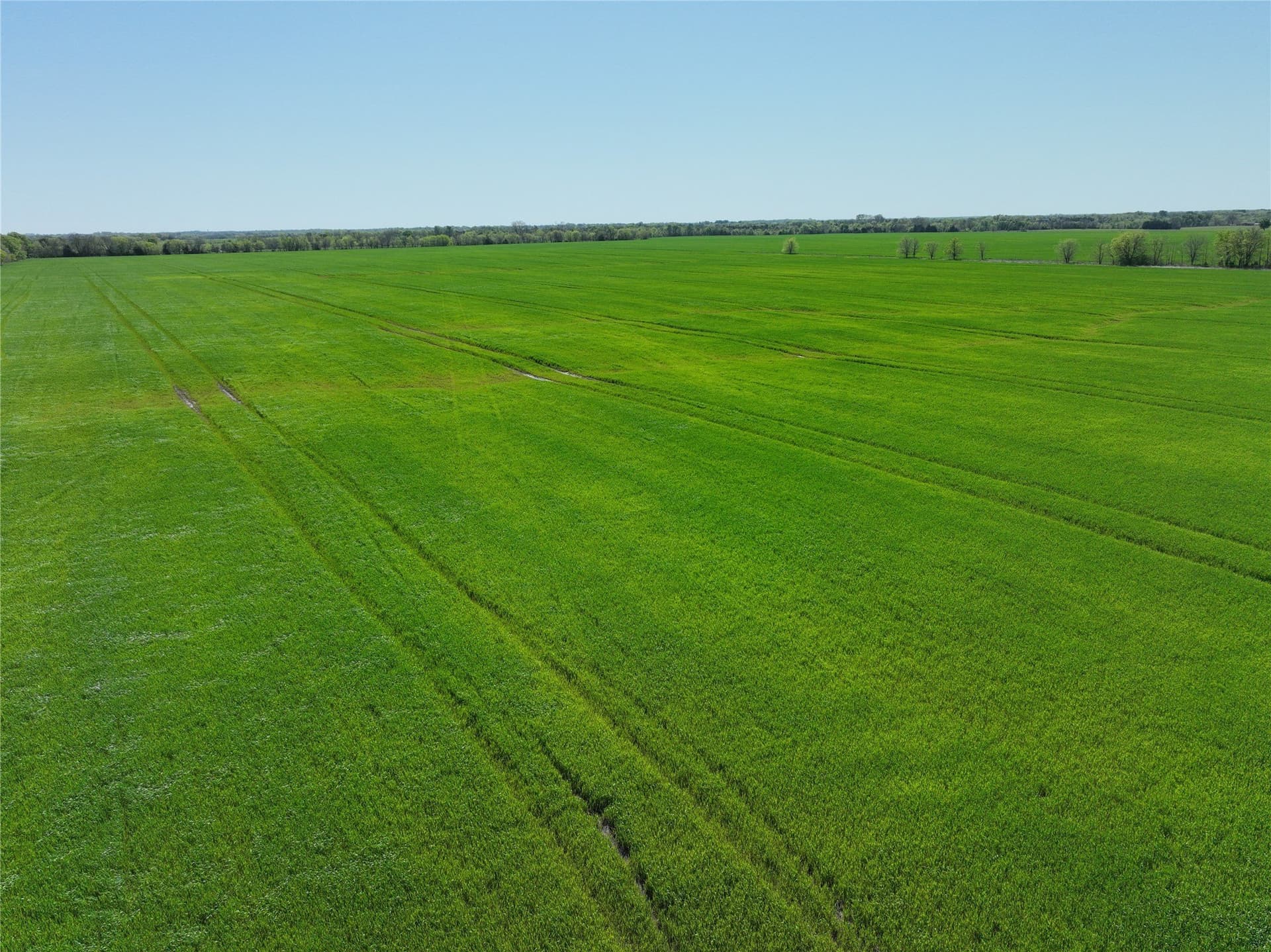 53.58 acres in Lamar County gallery image 3