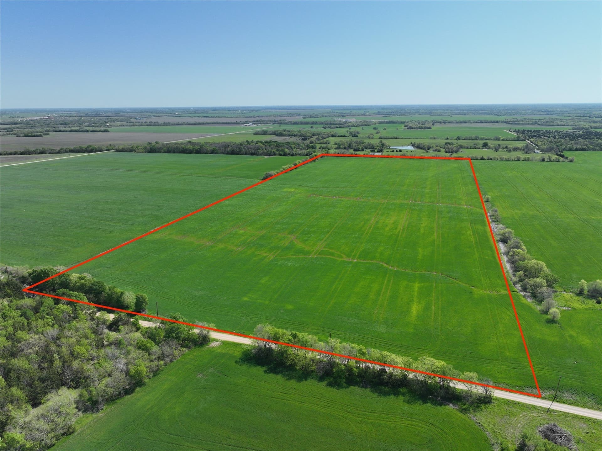 53.58 acres in Lamar County