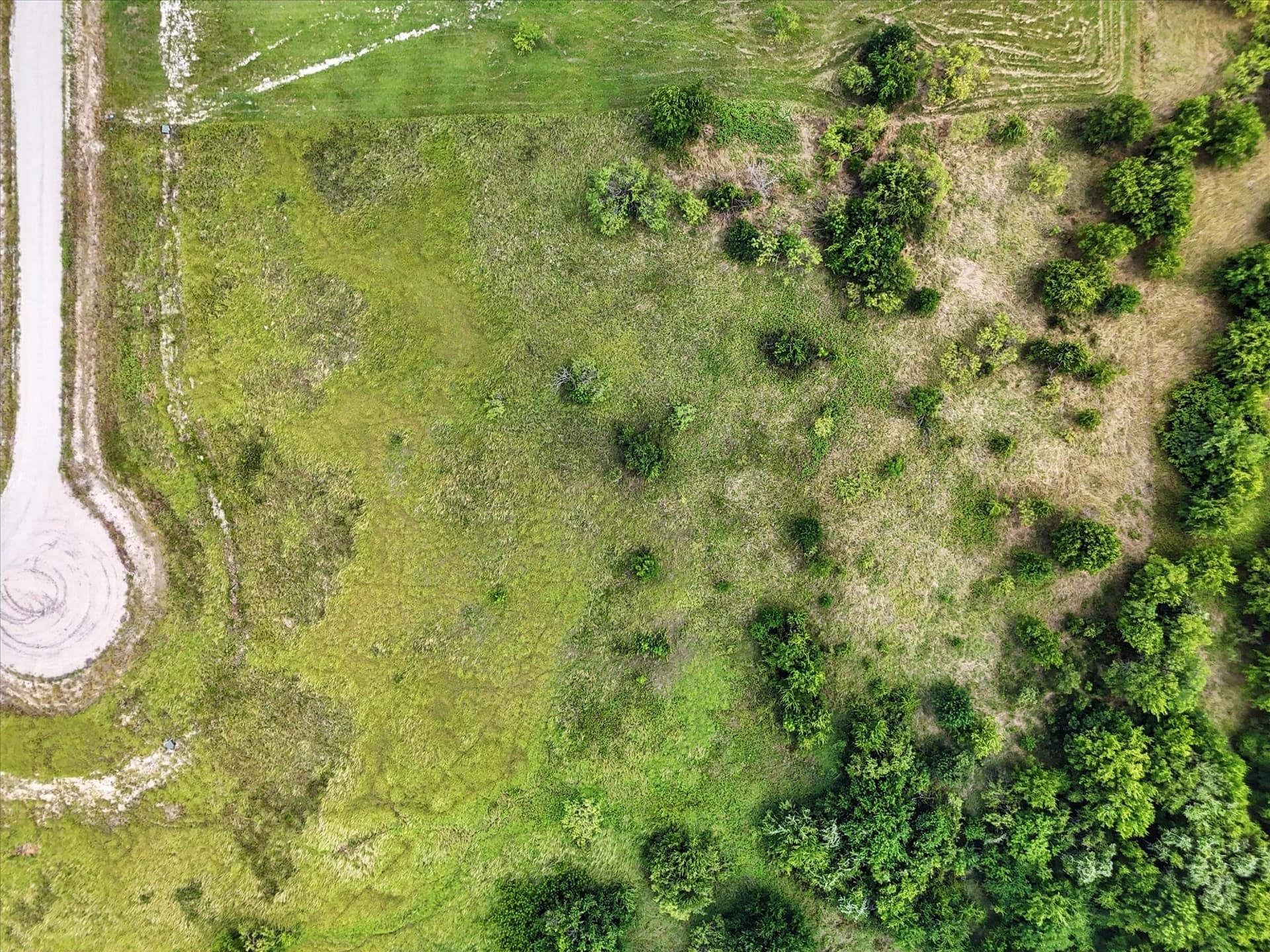 2 acres in Hill County - photo 2