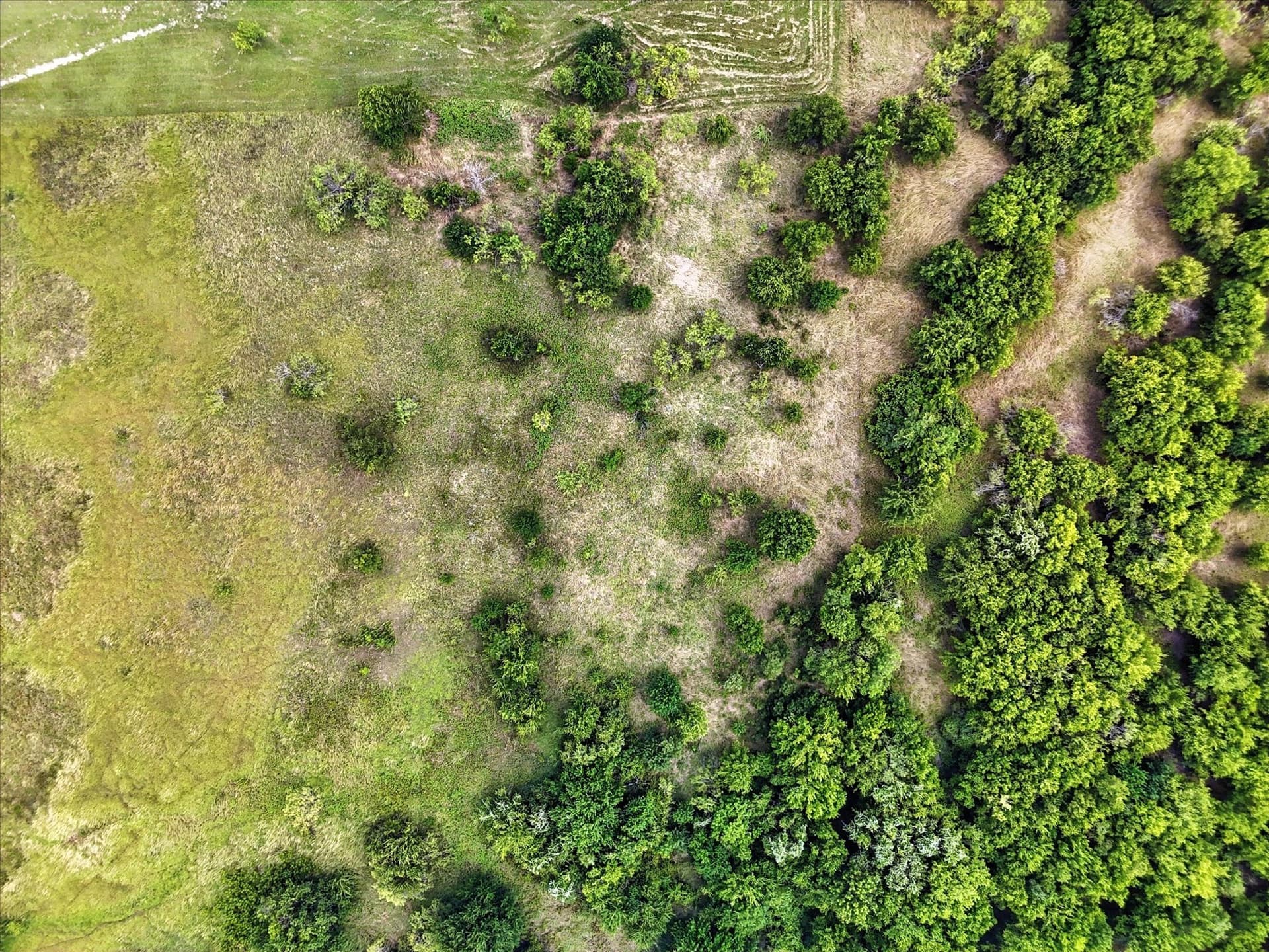 2 acres in Hill County - photo 4