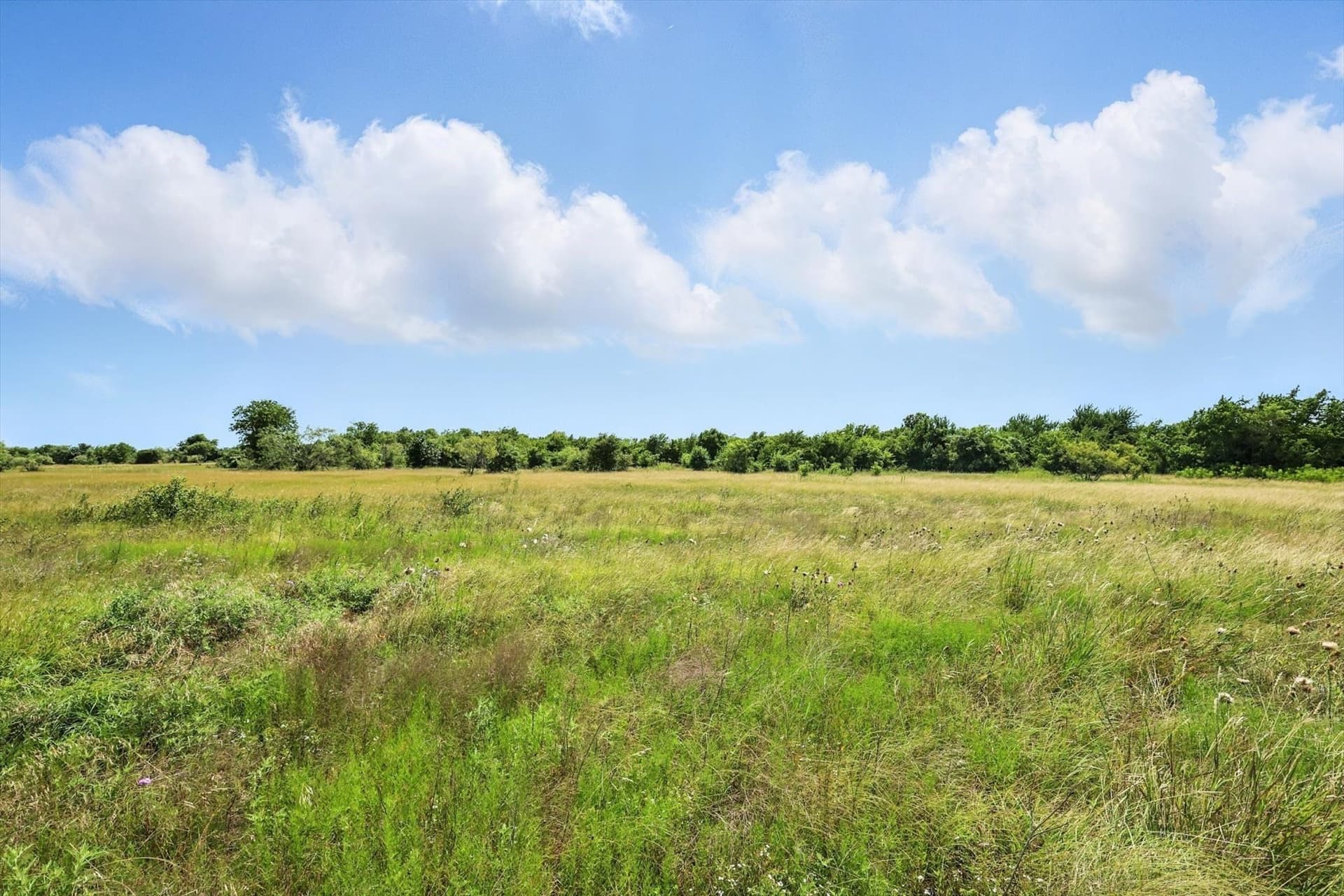 2 acres in Hill County - photo 3