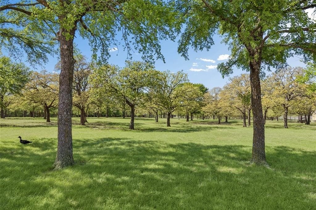 18.5 acres in Hood County featured view