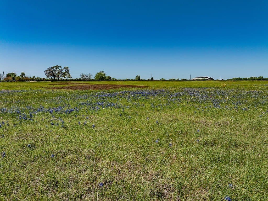 6.69 acres in Fayette County gallery image 2