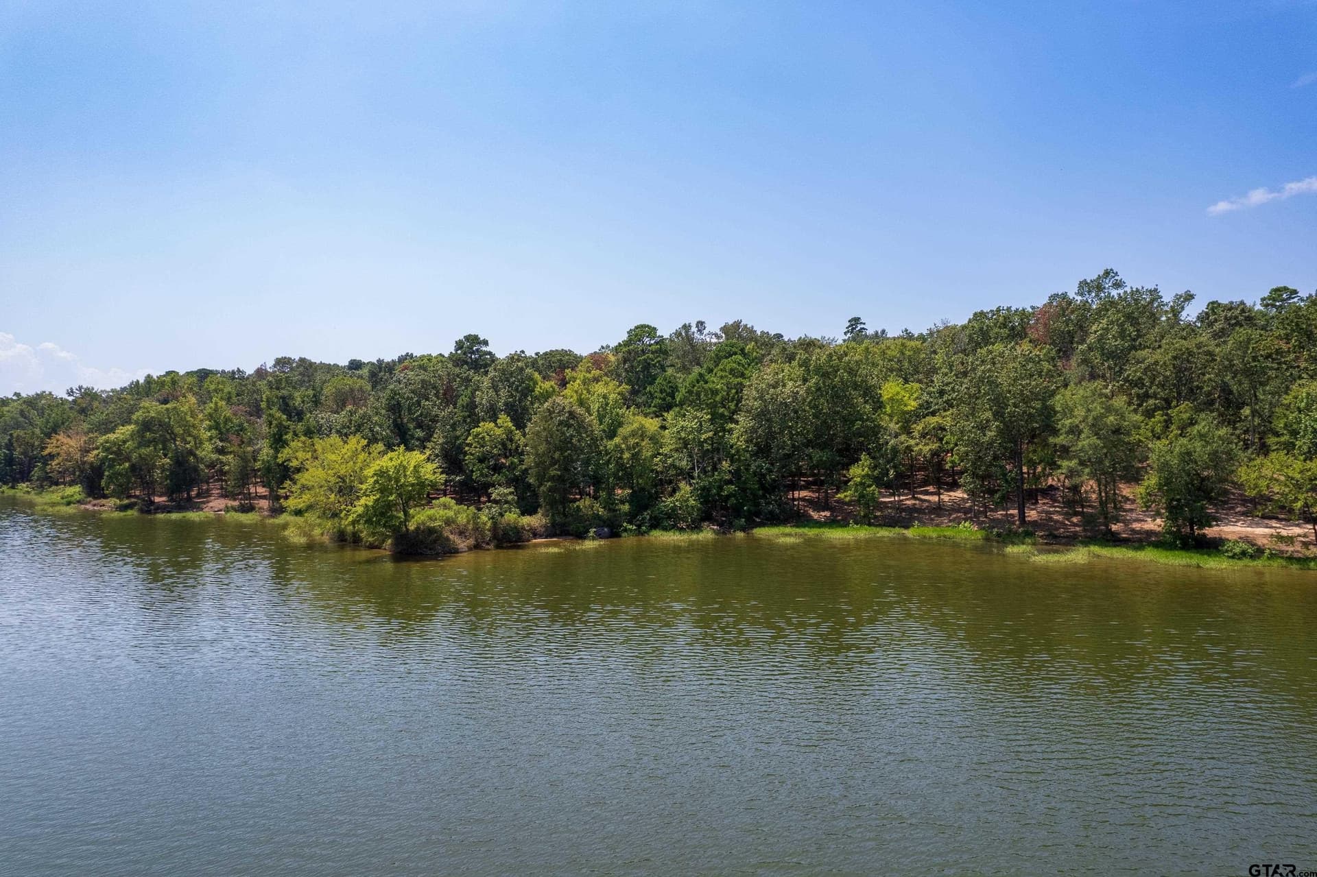 1.75 acres in Camp County - photo 7