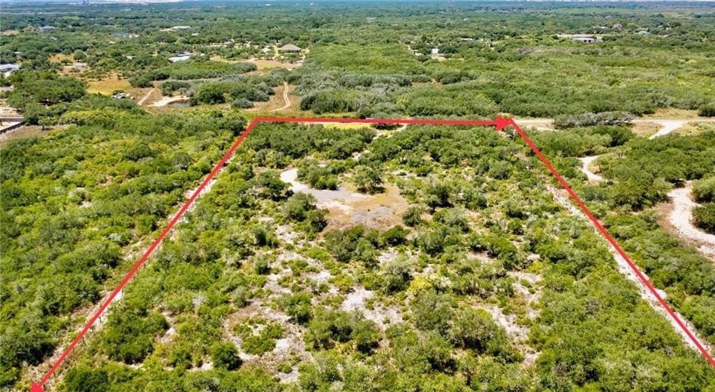 5 acres in San Patricio County gallery image 4