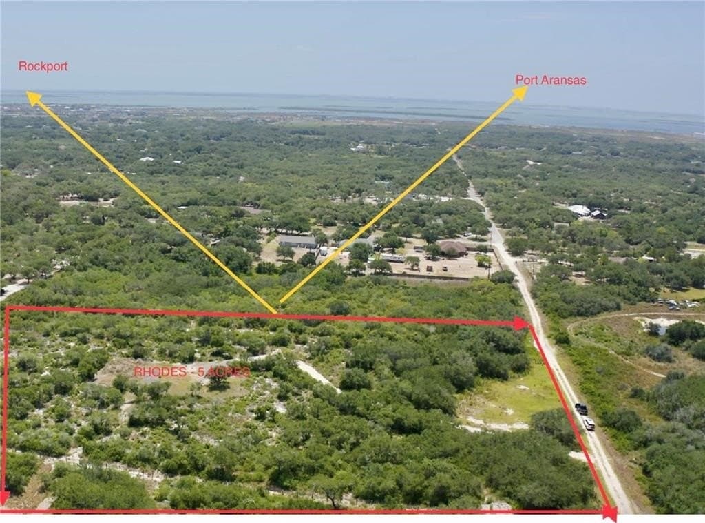 5 acres in San Patricio County gallery image 2