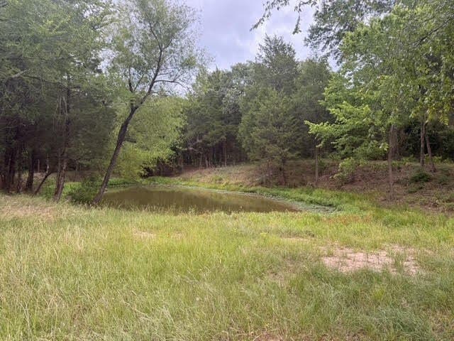 15.15 acres in Henderson County - photo 2
