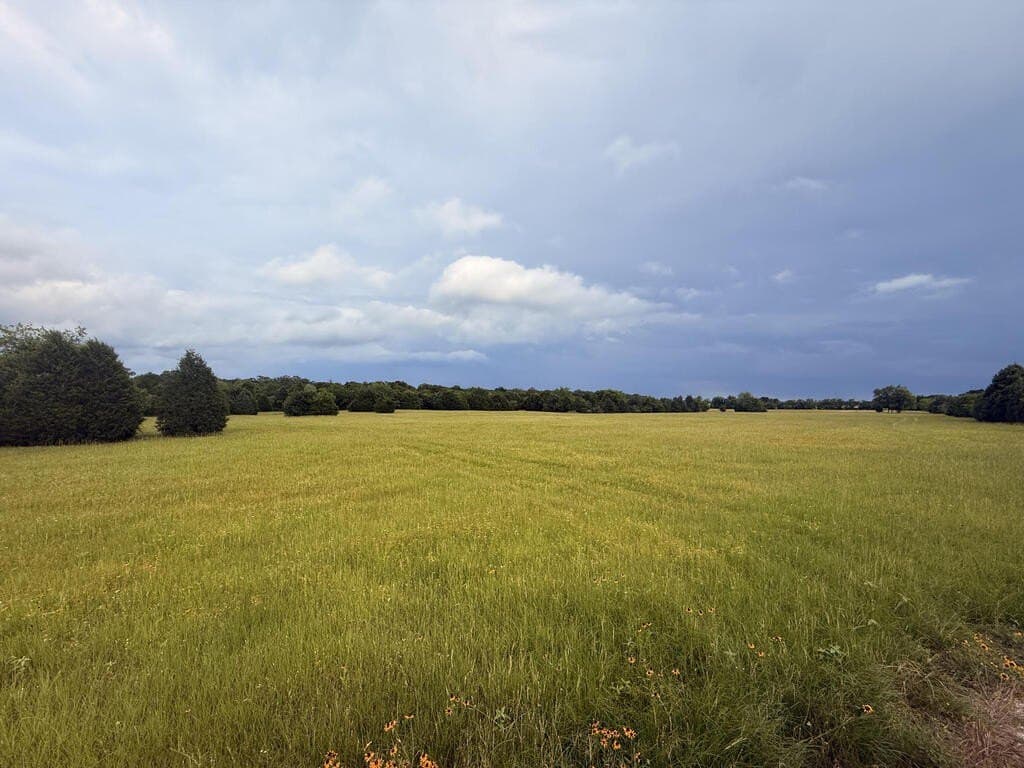 15.15 acres in Henderson County - photo 5