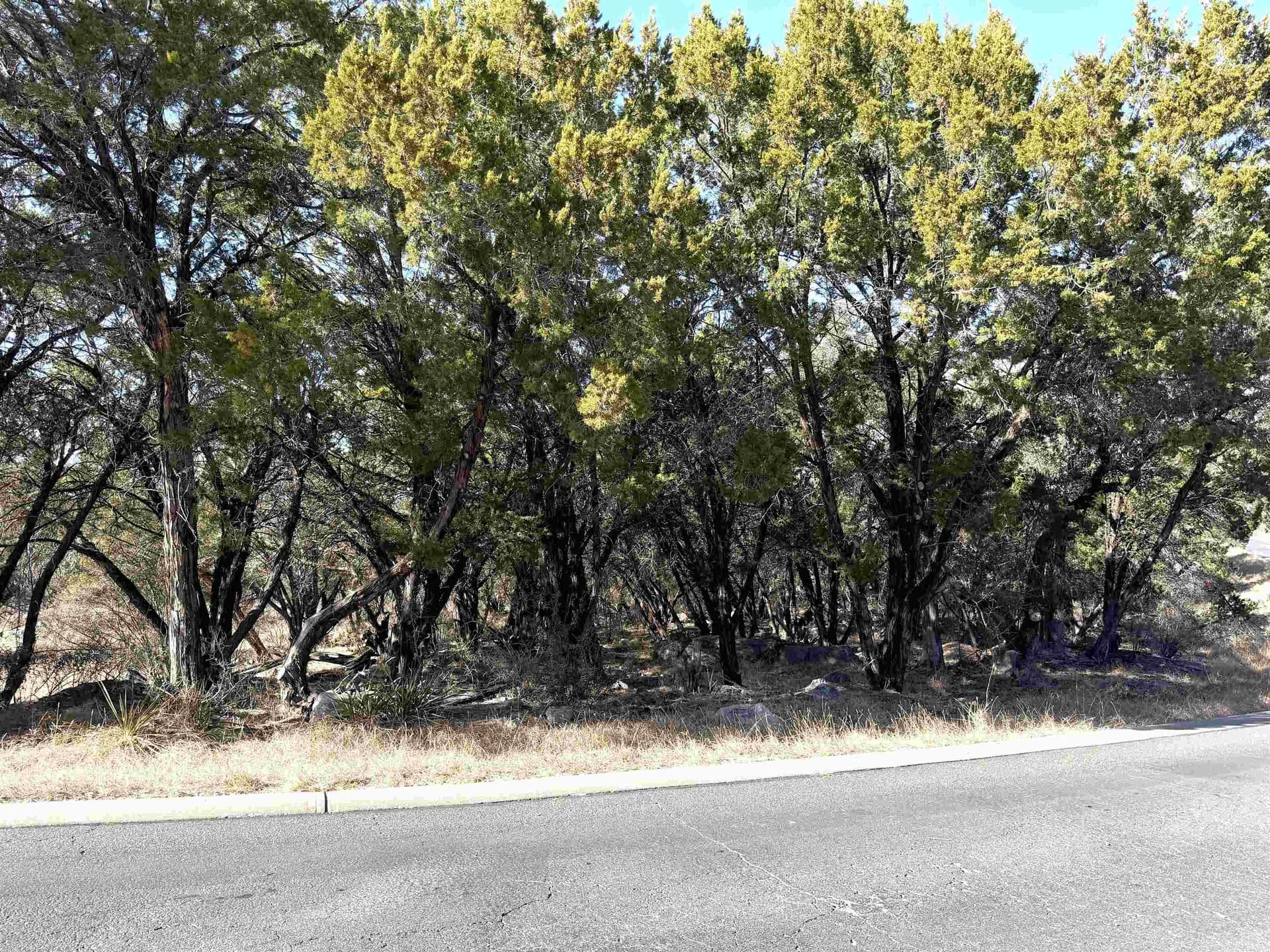 0.34 acres in Burnet County - photo 11