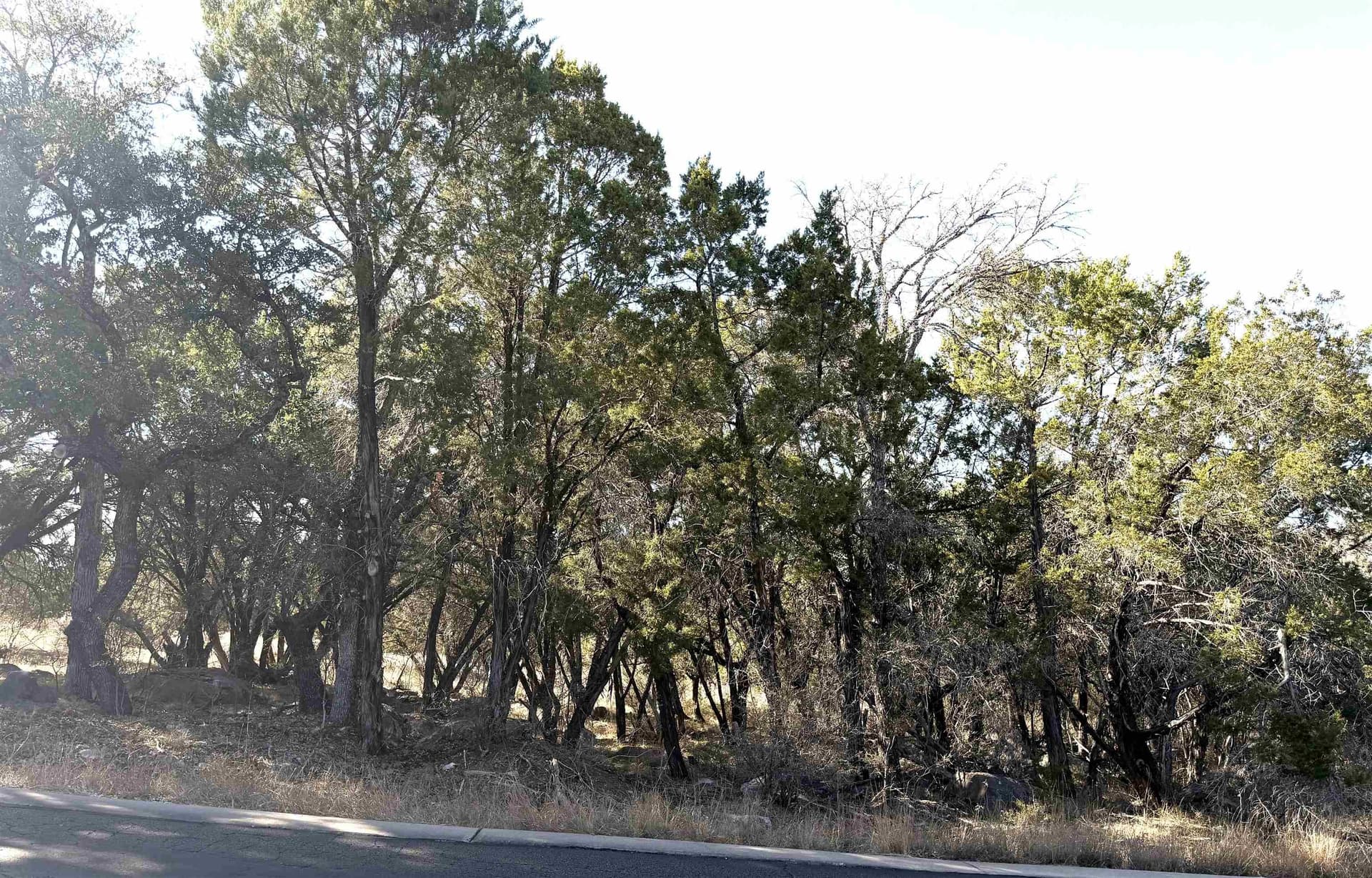 0.34 acres in Burnet County - photo 8