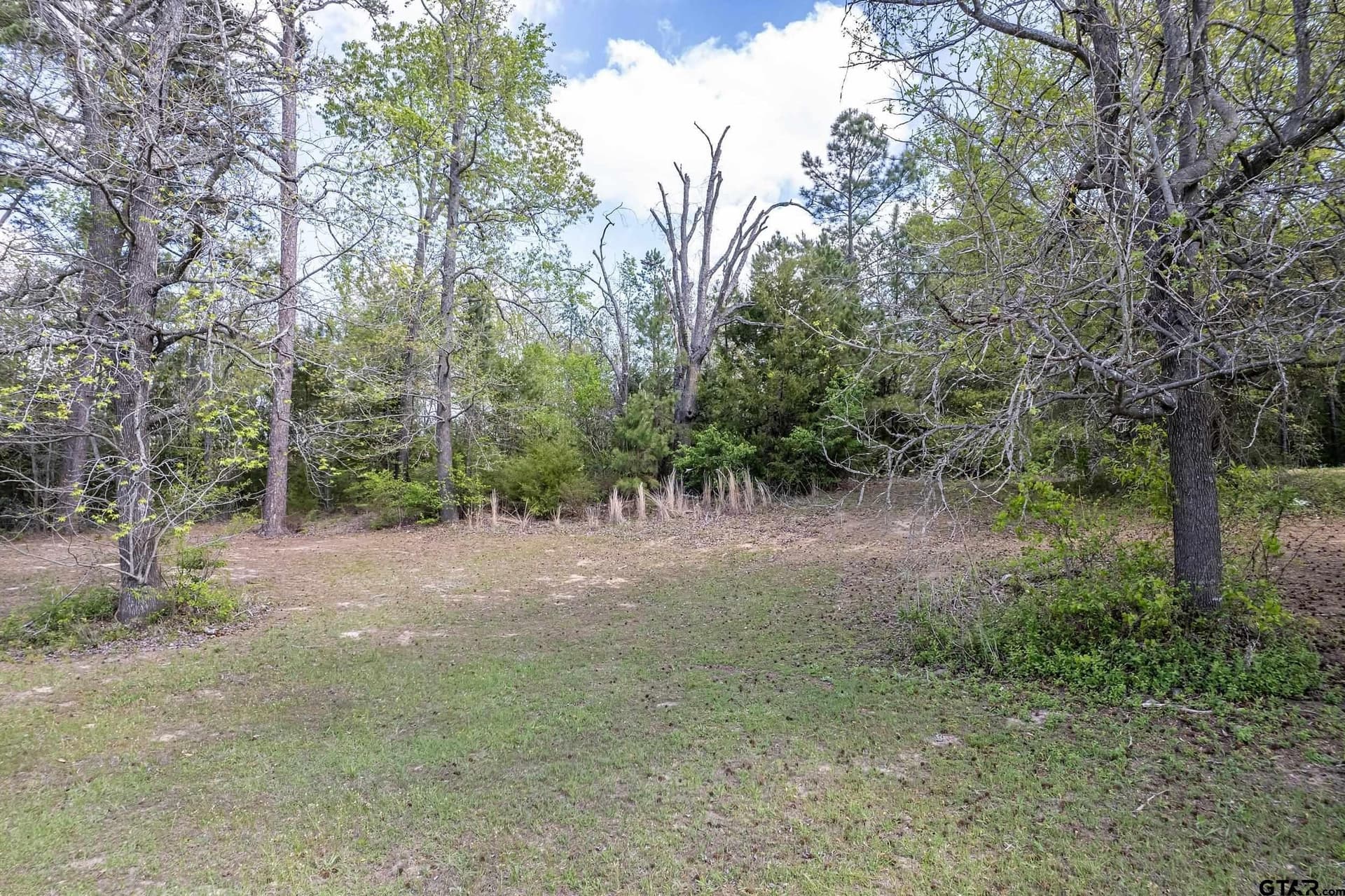 1.13 acres in Smith County featured view