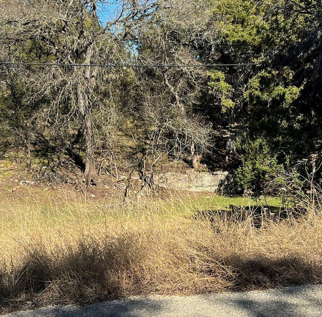 0.32 acres in Hays County - photo 7