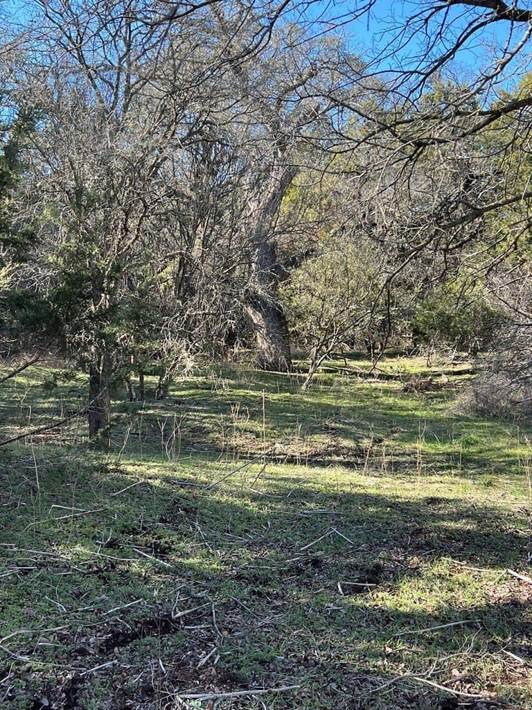 0.32 acres in Hays County - photo 9