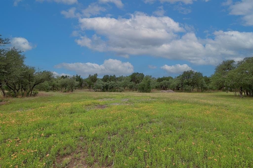 25 acres in Hays County gallery image 4