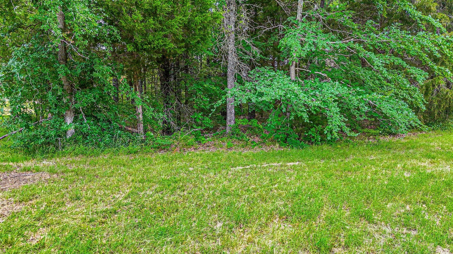 0.53 acres in Navarro County - photo 2