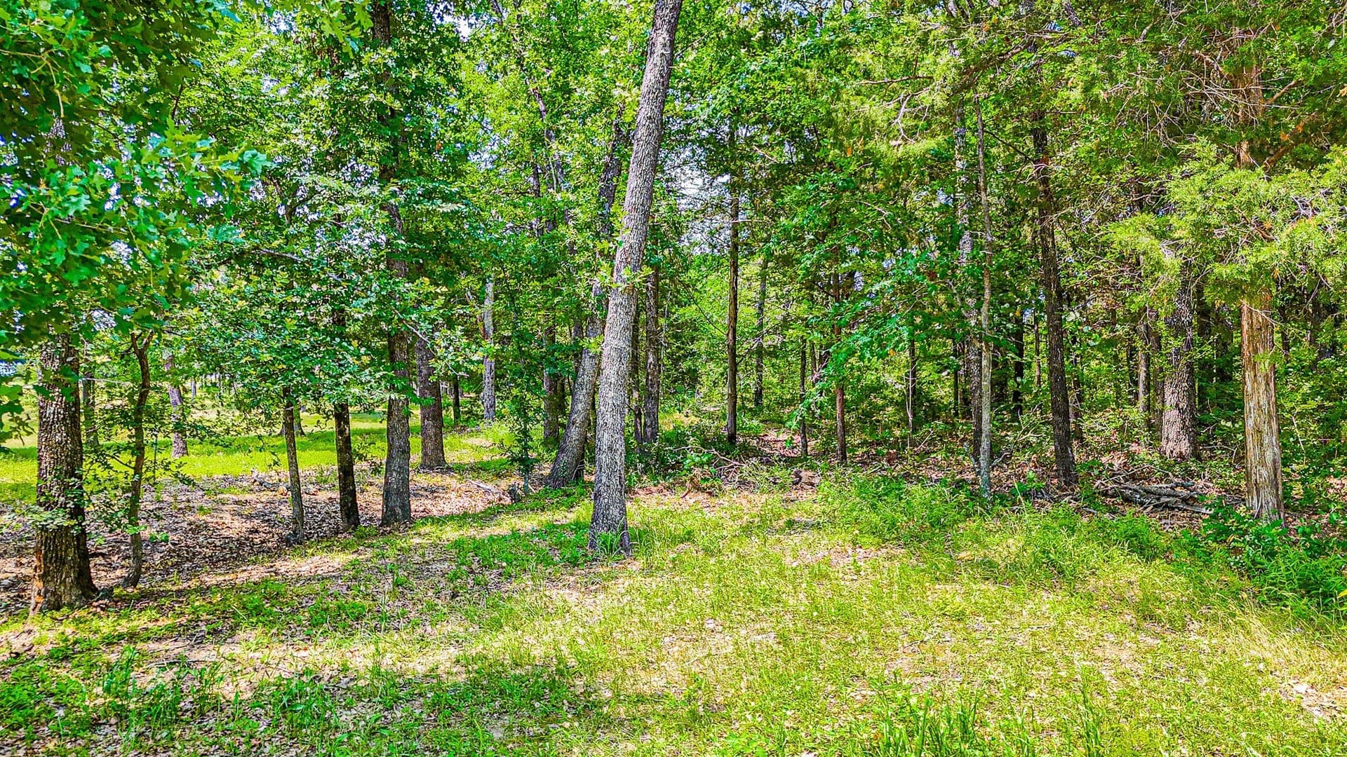 0.53 acres in Navarro County - photo 6