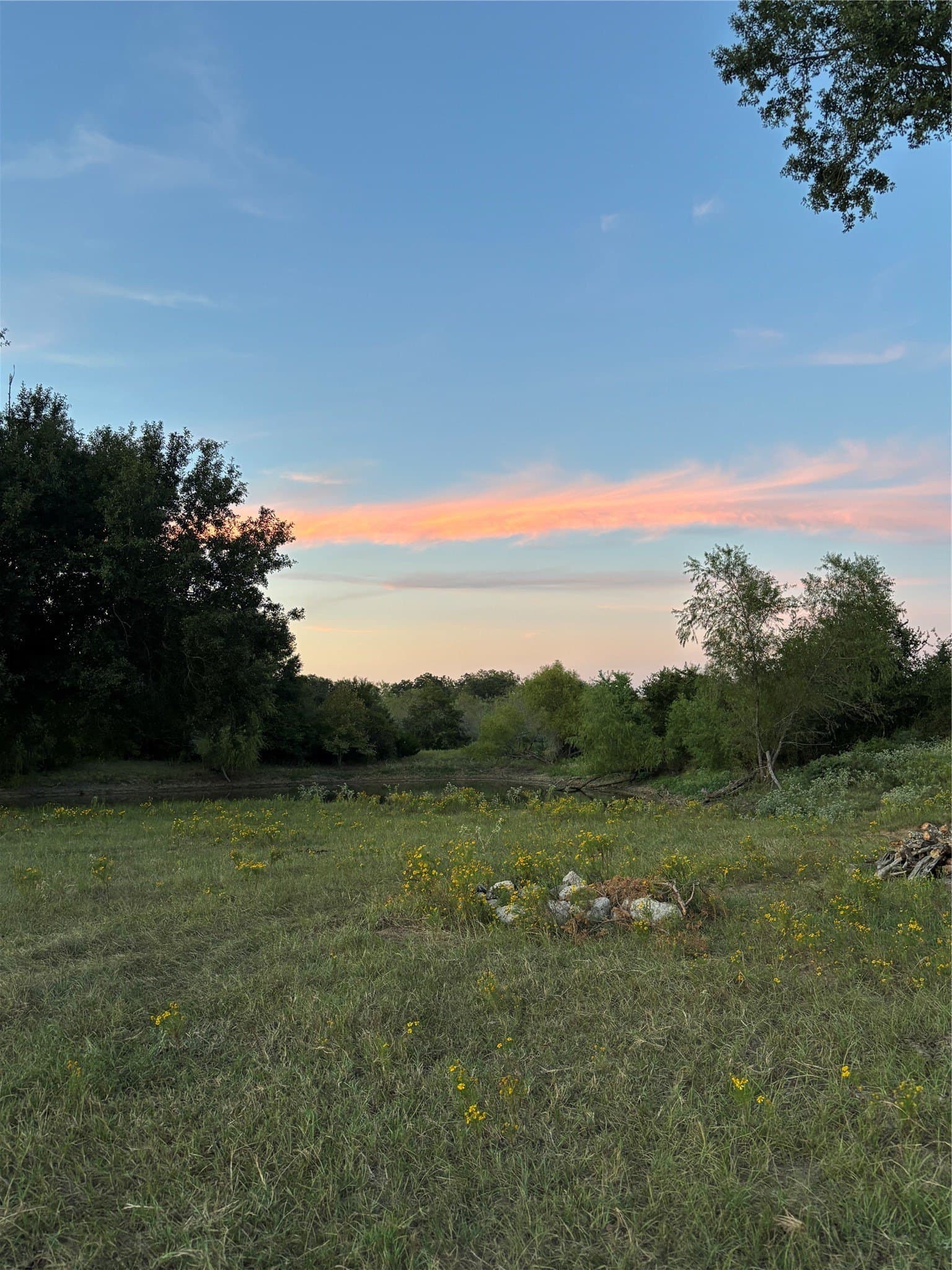 50.69 acres in Limestone County