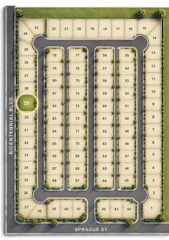 0.21 acres in Hidalgo County gallery image 3