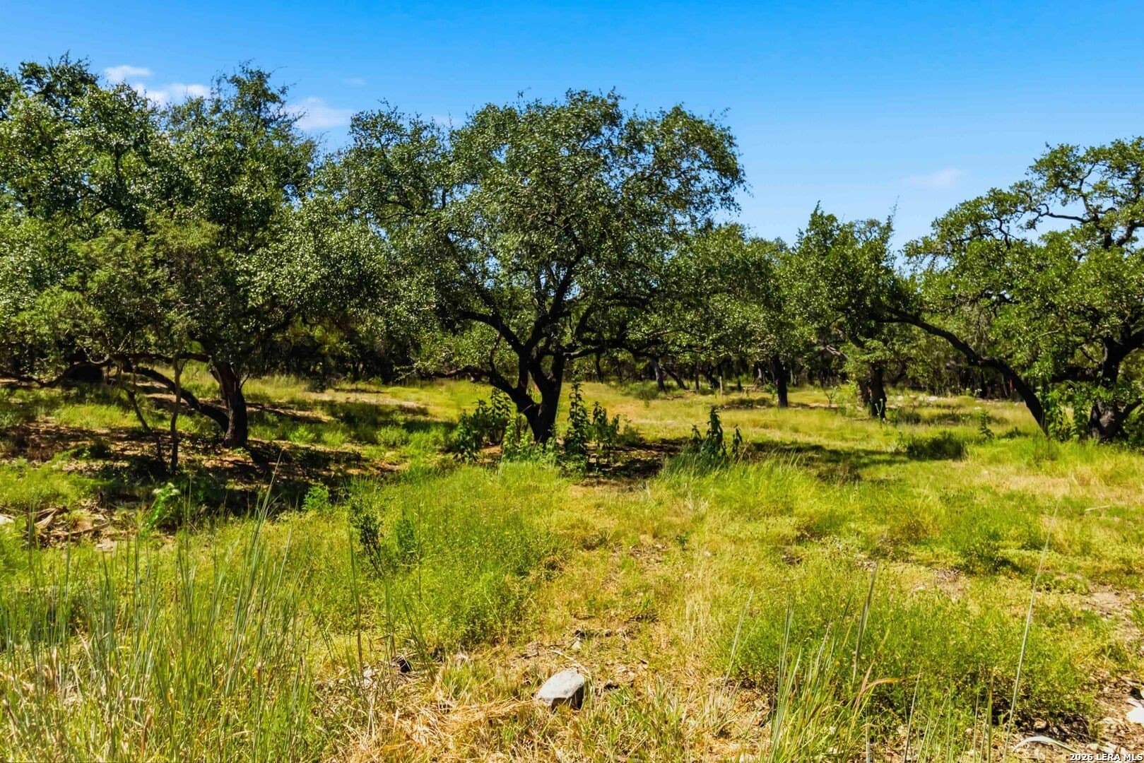 3.45 acres in Comal County - photo 8