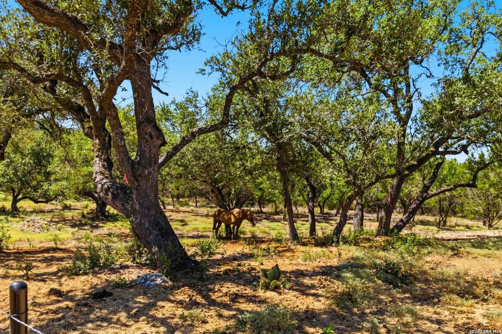3.45 acres in Comal County - photo 15
