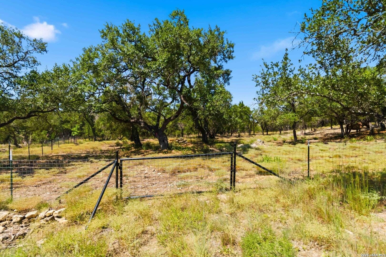 3.45 acres in Comal County - photo 20