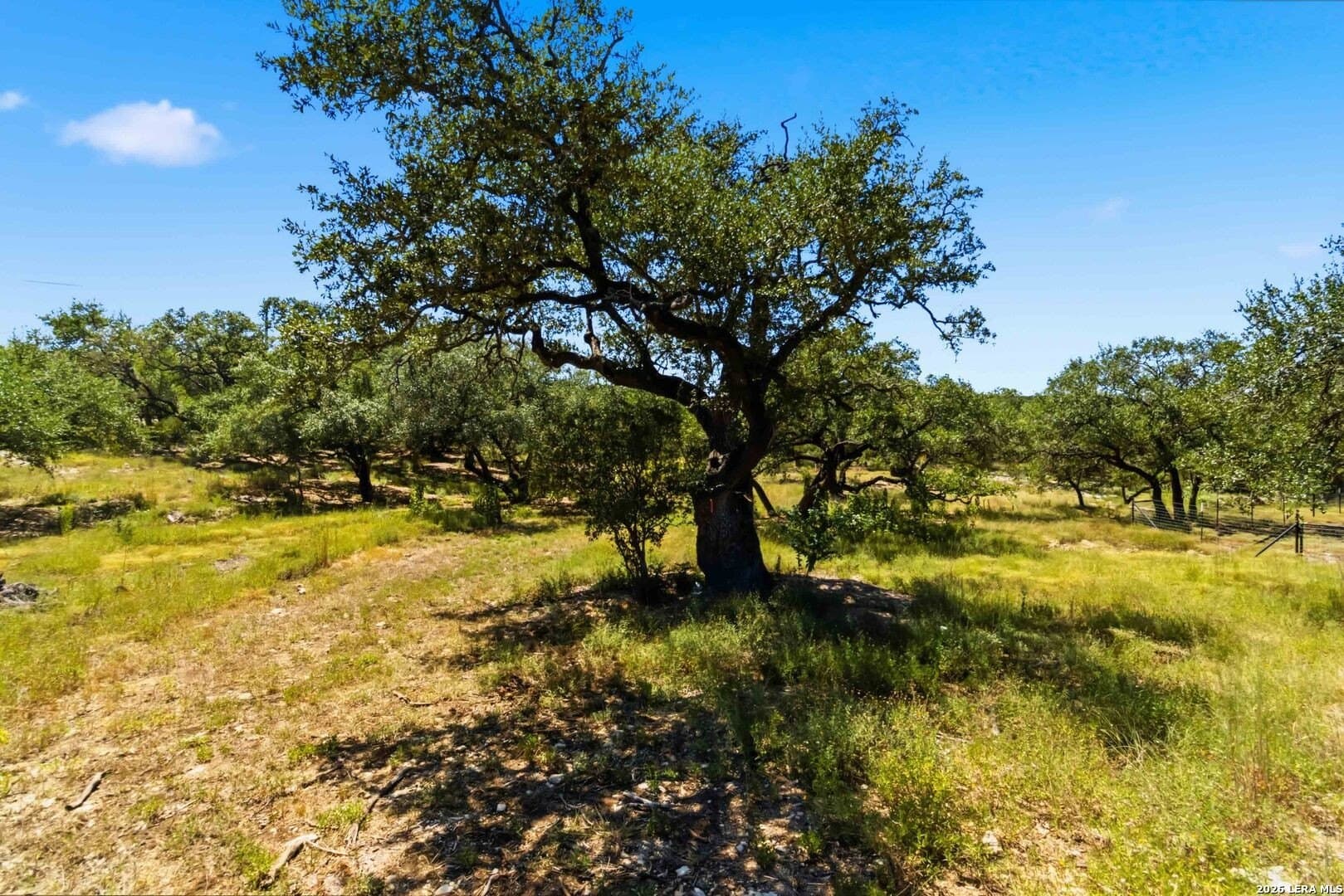3.45 acres in Comal County - photo 18
