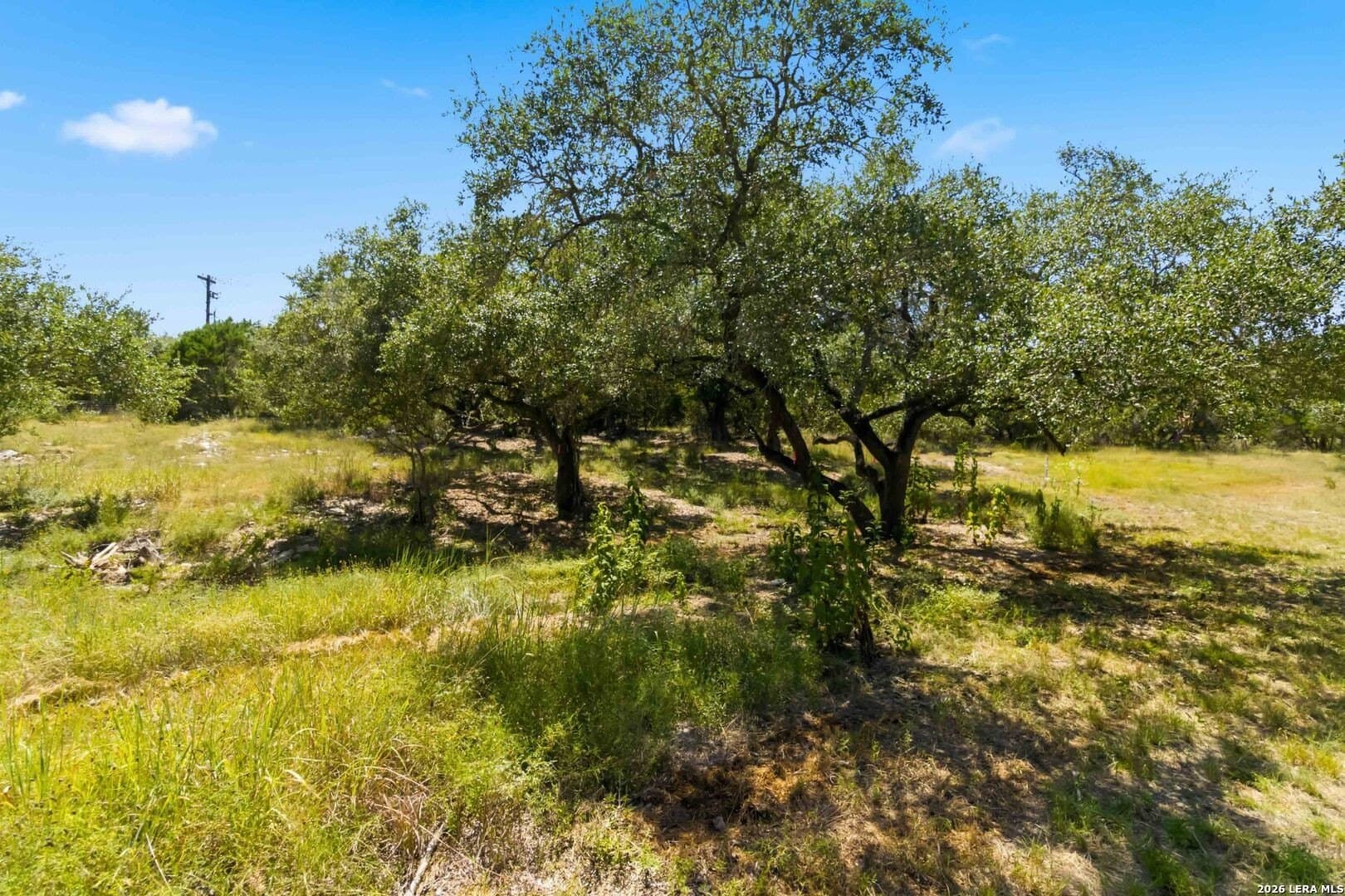 3.45 acres in Comal County - photo 19