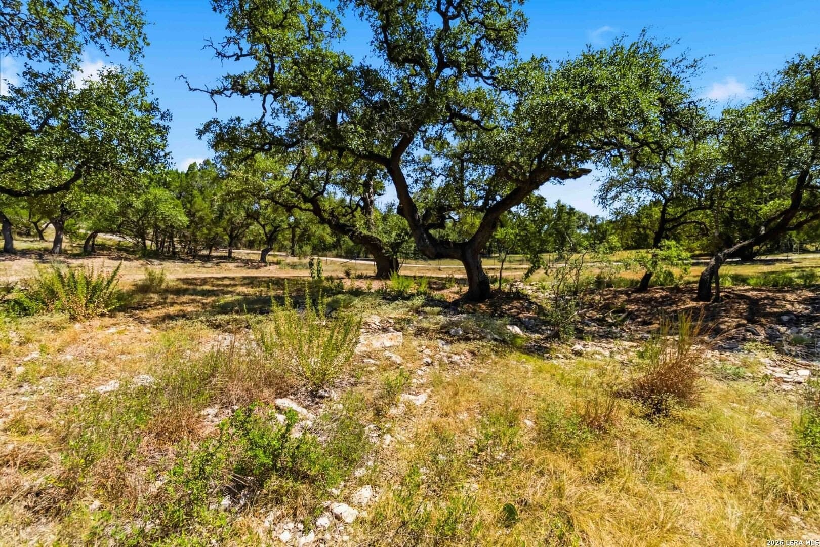 3.45 acres in Comal County - photo 10