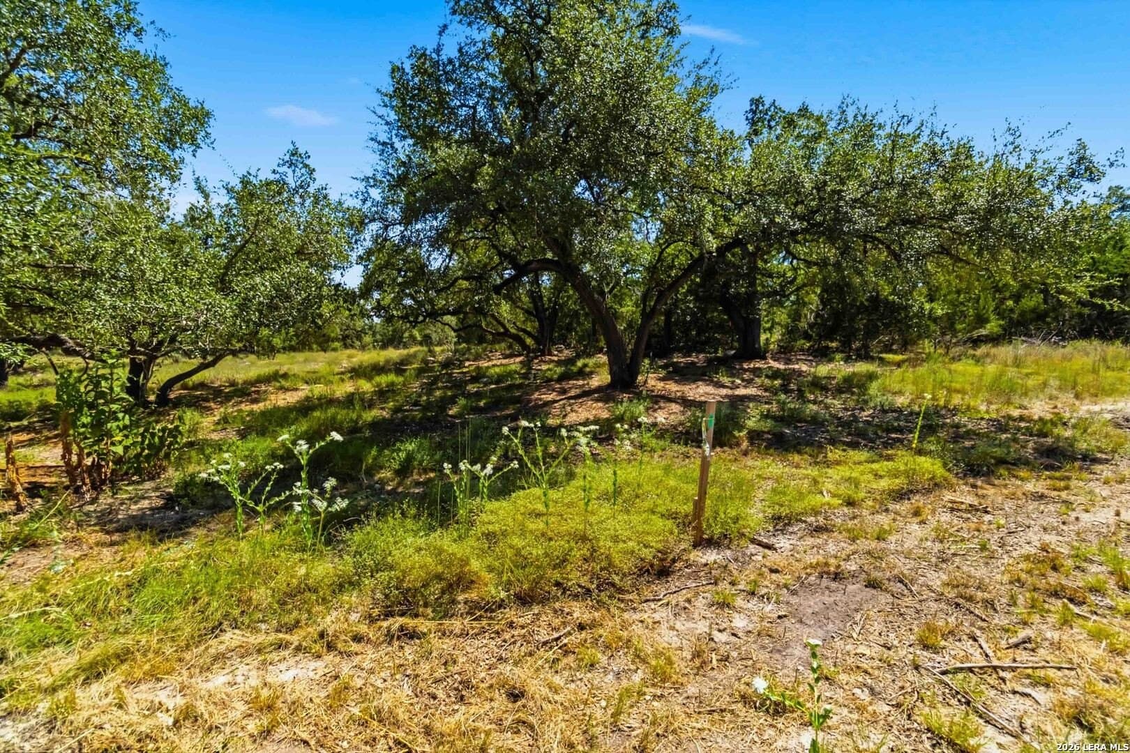 3.45 acres in Comal County - photo 22